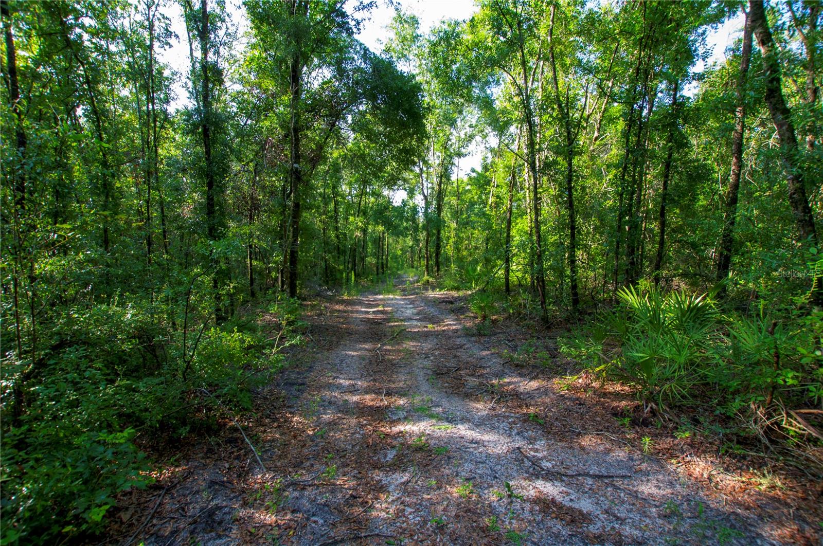18233 185TH RD, LIVE OAK, FL — photo 86