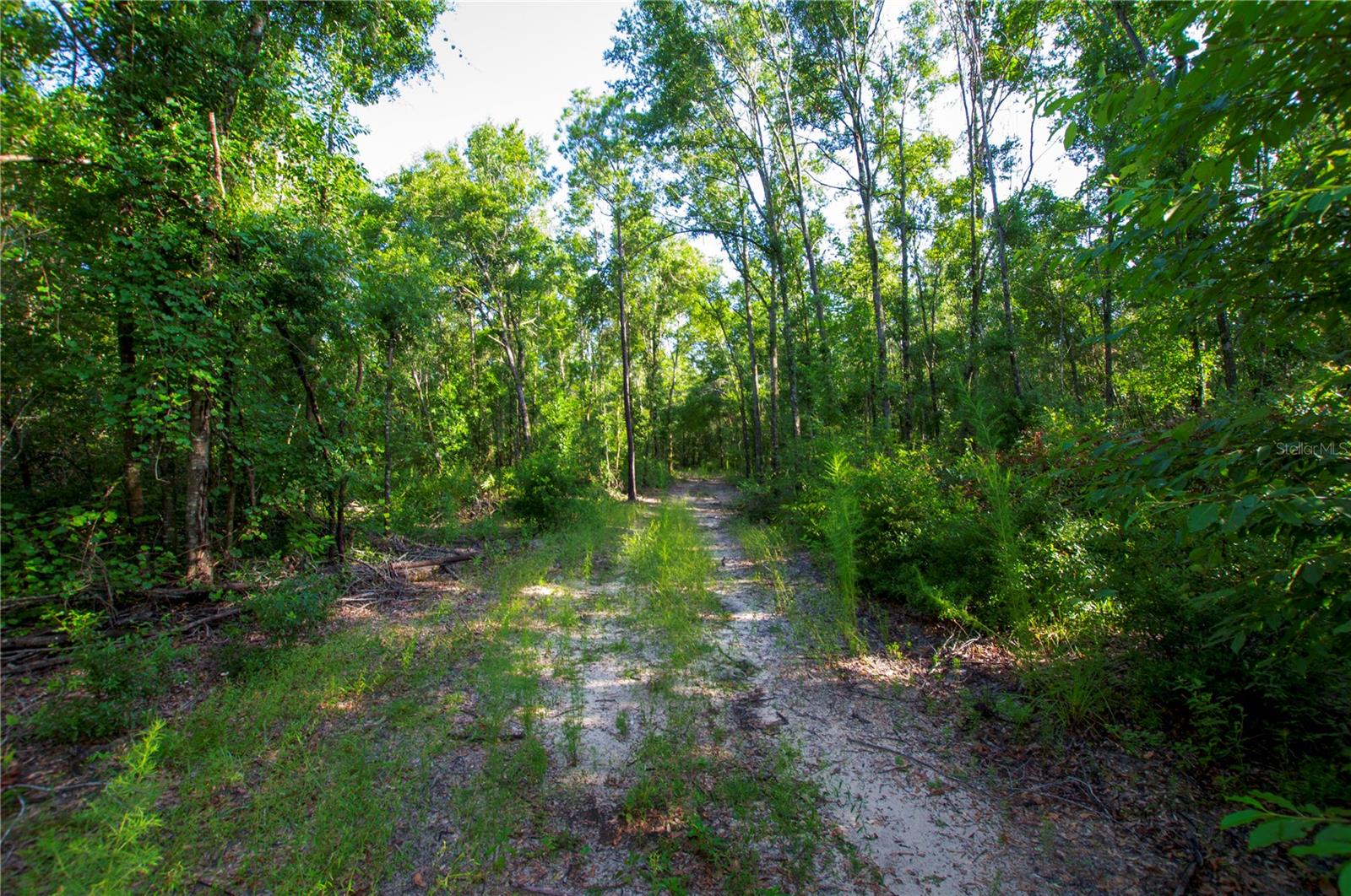 18233 185TH RD, LIVE OAK, FL — photo 87