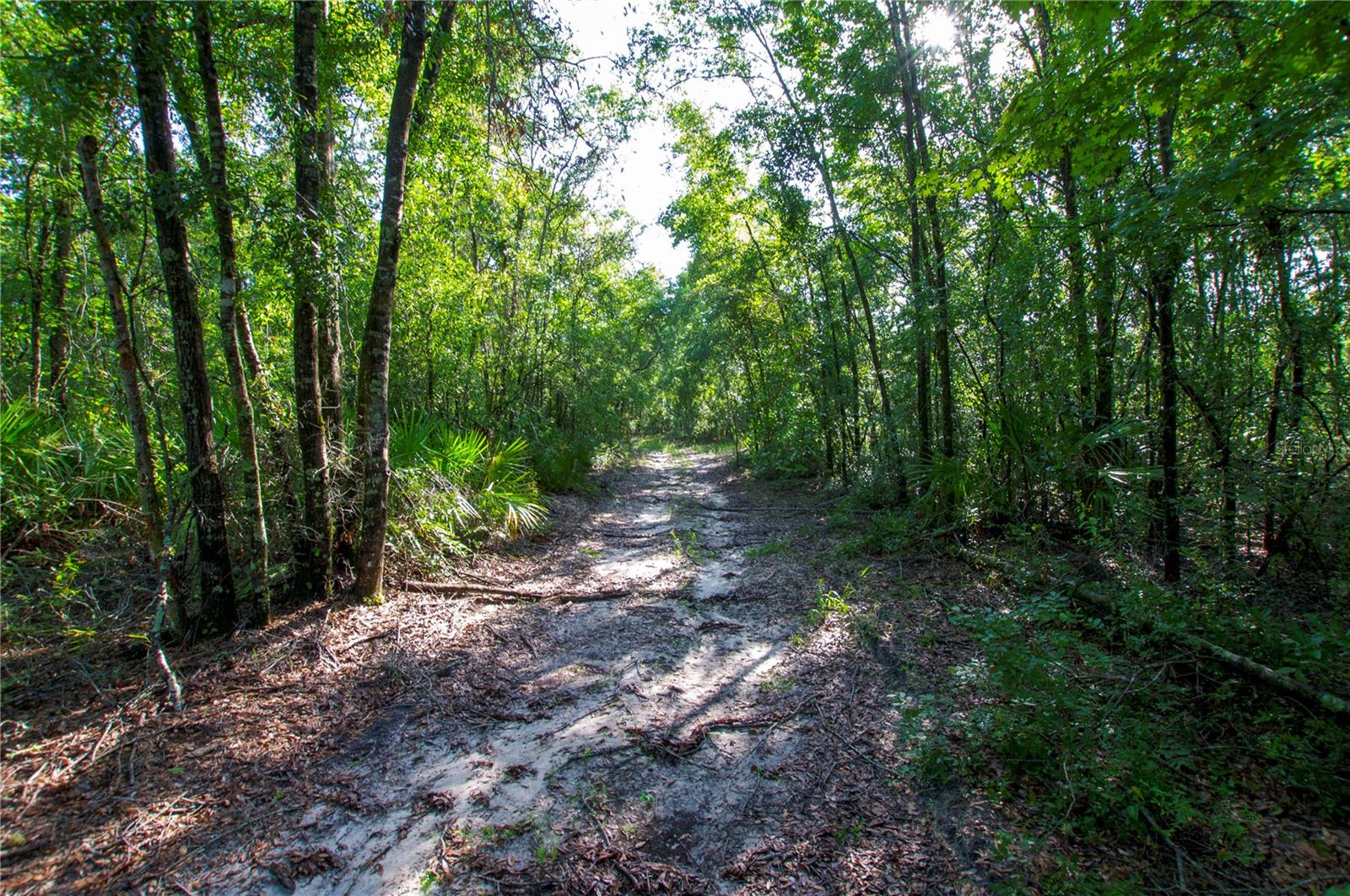 18233 185TH RD, LIVE OAK, FL — photo 89