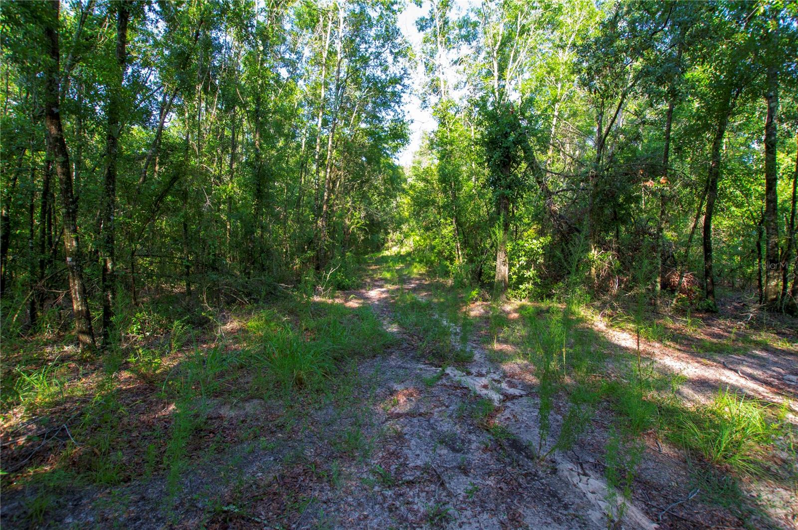18233 185TH RD, LIVE OAK, FL — photo 90