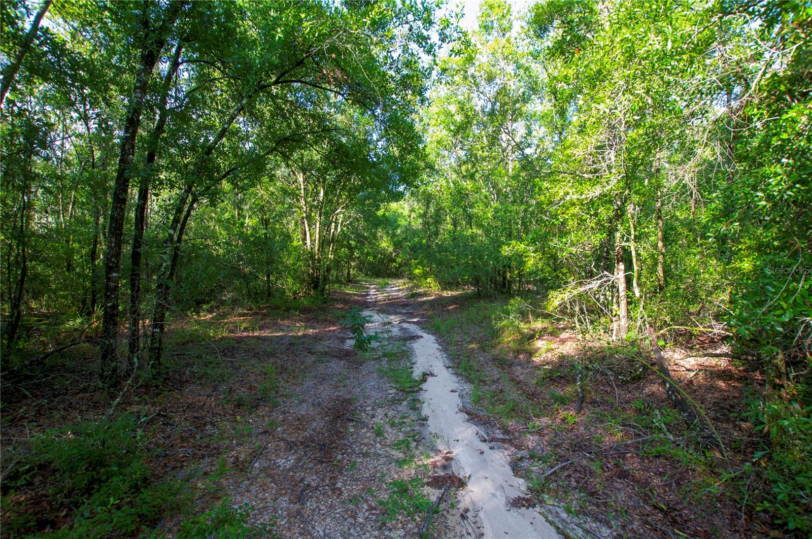 18233 185TH RD, LIVE OAK, FL — photo 91