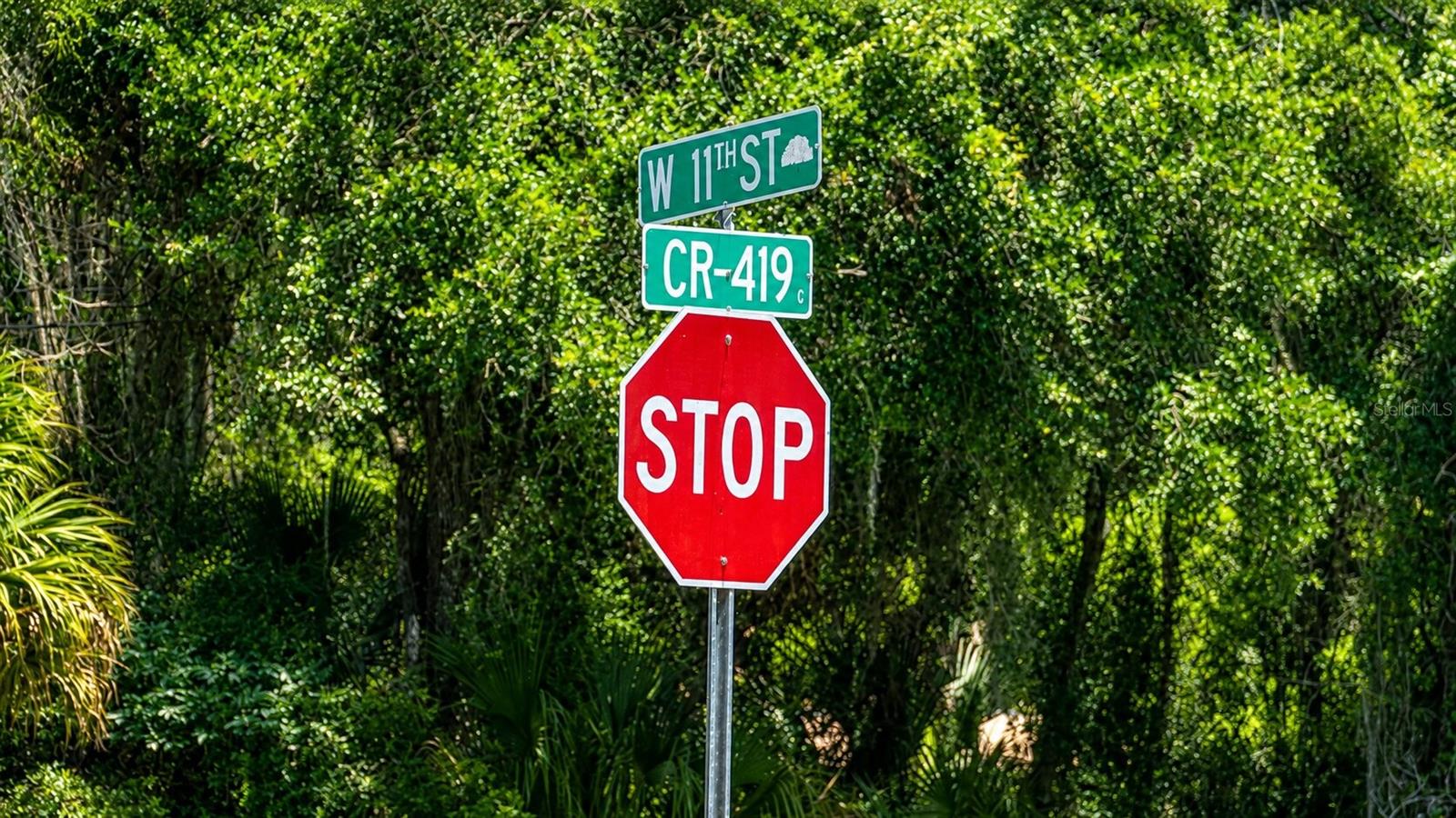 150 W 11TH ST, CHULUOTA, FL — photo 25