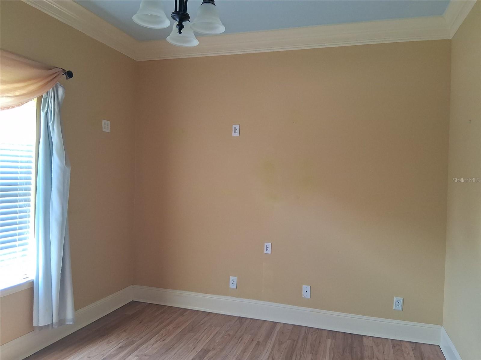915 OLD WELCOME RD, LITHIA, FL — photo 13