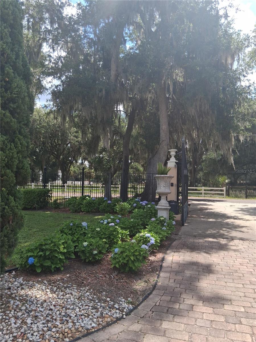 915 OLD WELCOME RD, LITHIA, FL — photo 21