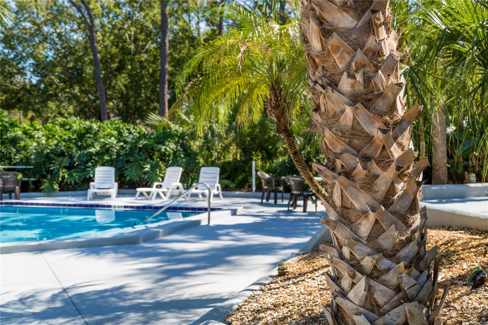 3721 S LAKE ORLANDO PKWY #2, ORLANDO, FL — photo 34