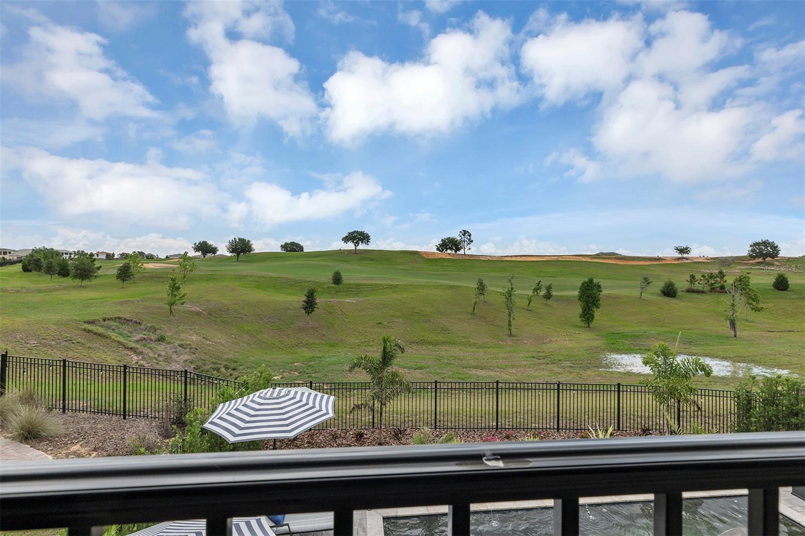 16136 VOLTERRA PT, BELLA COLLINA, FL — photo 77