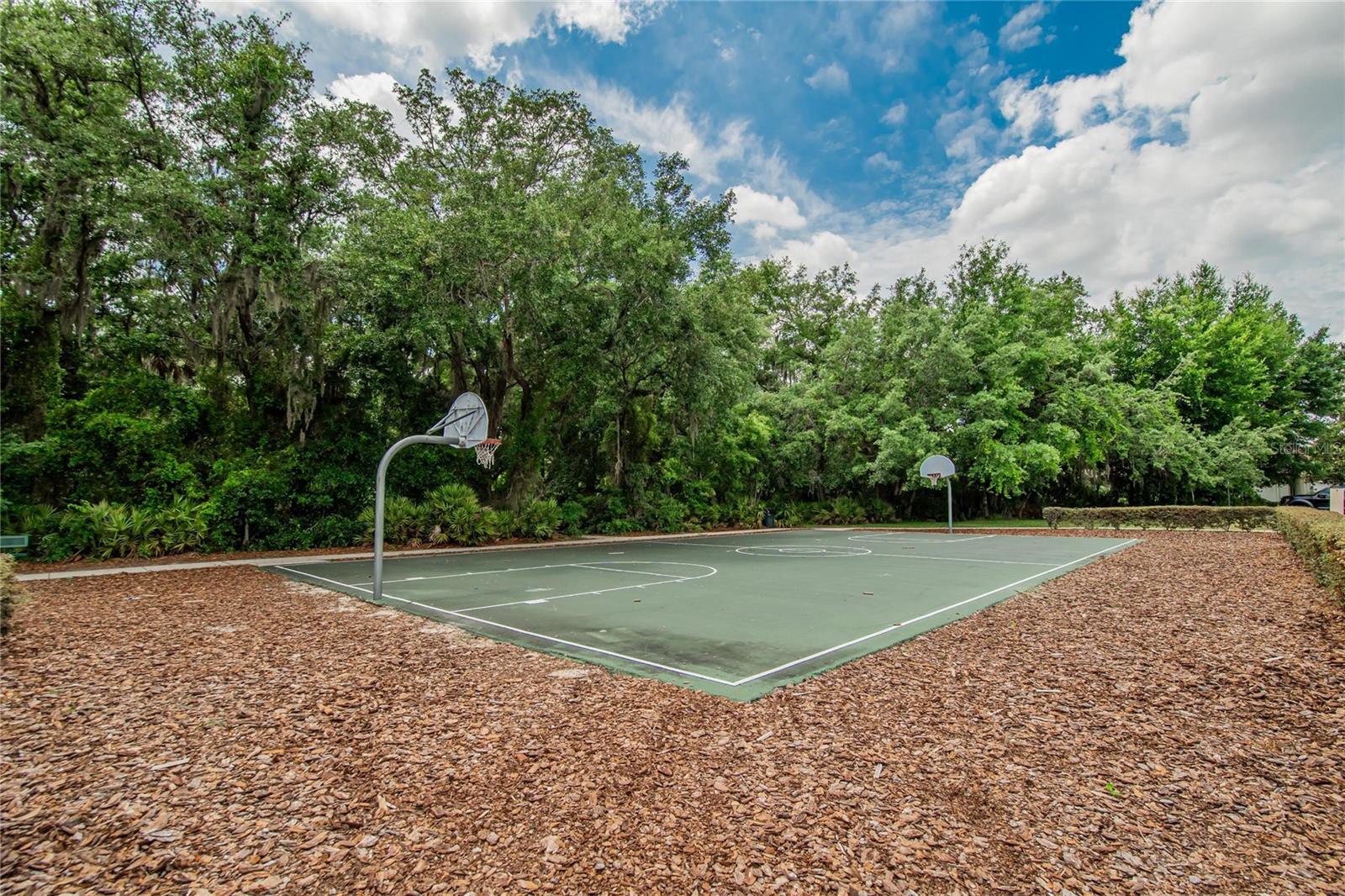 7959 HAMPTON LAKE DR, TAMPA, FL — photo 89