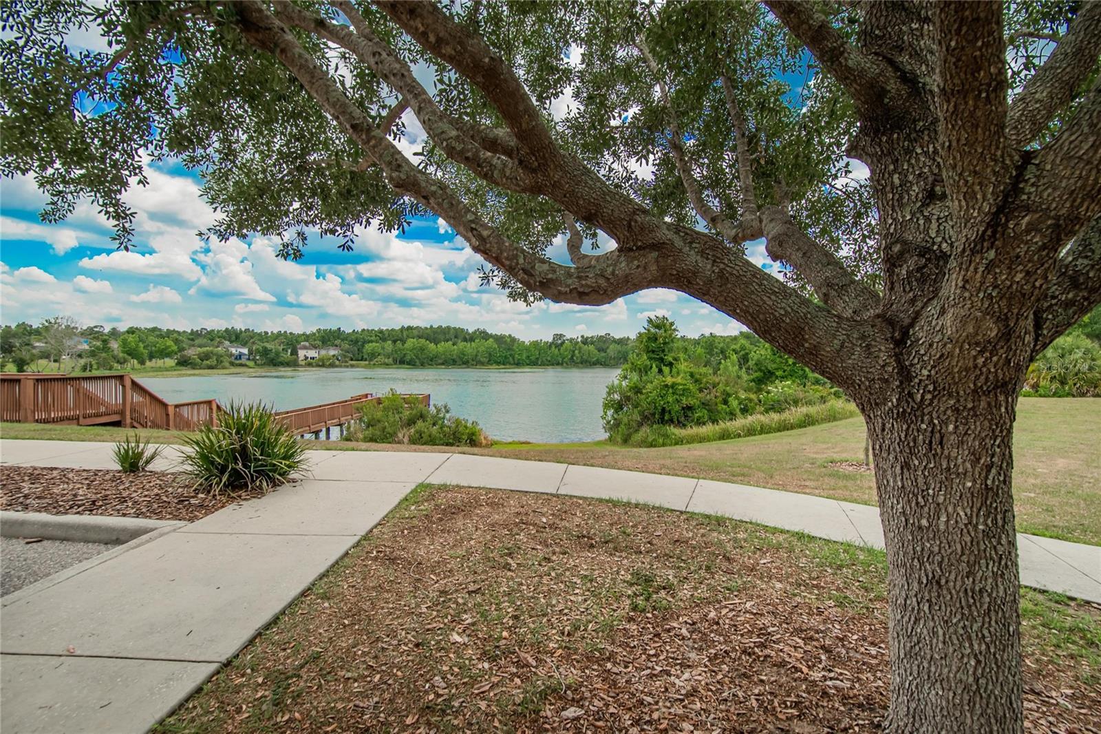7959 HAMPTON LAKE DR, TAMPA, FL — photo 91