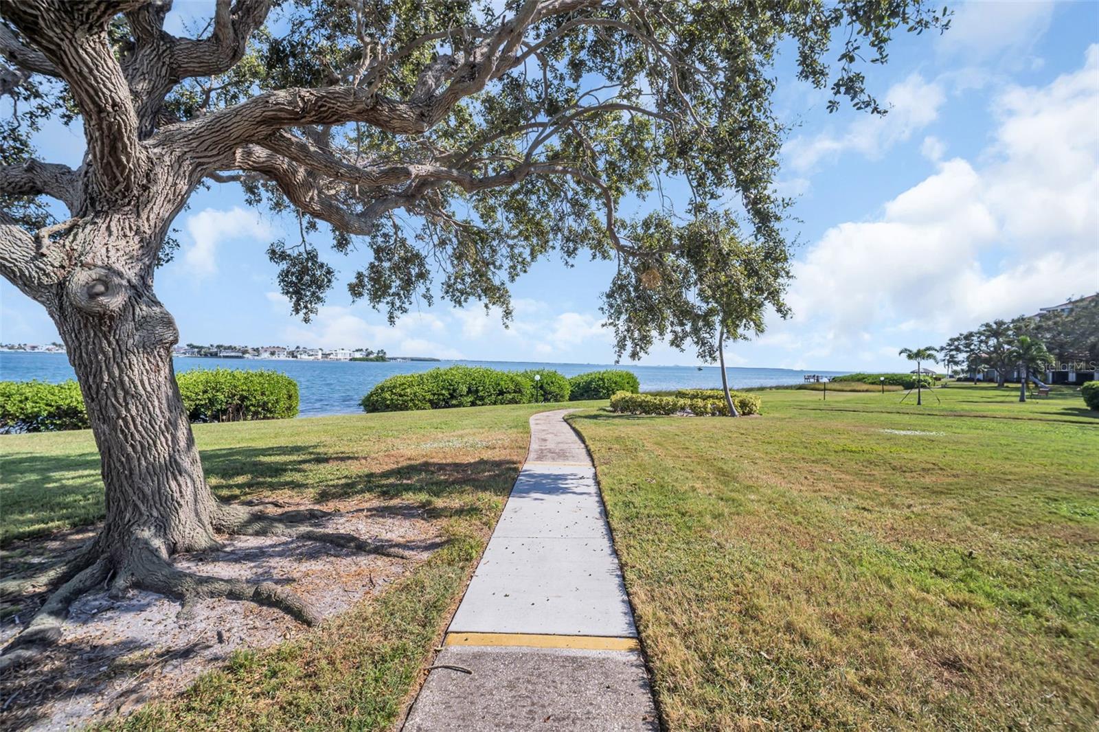 6158 PALMA DEL MAR SO #505, ST PETERSBURG, FL — photo 32