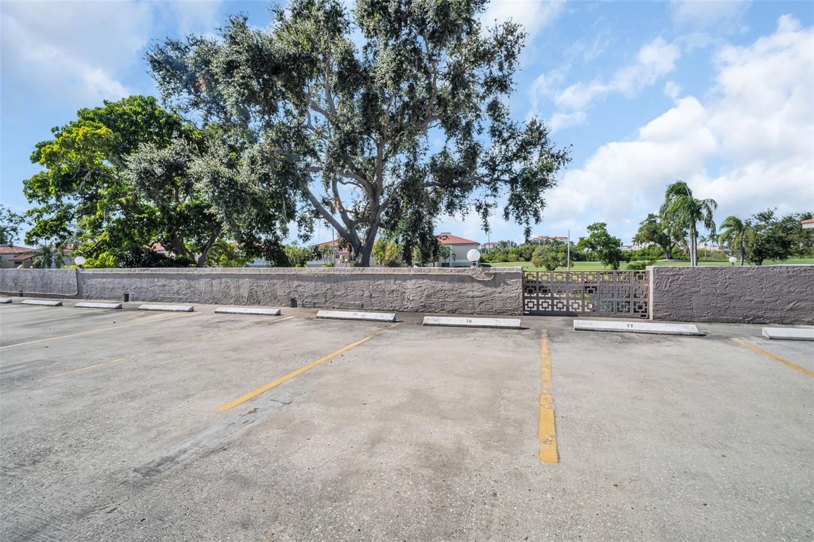 6158 PALMA DEL MAR SO #505, ST PETERSBURG, FL — photo 33