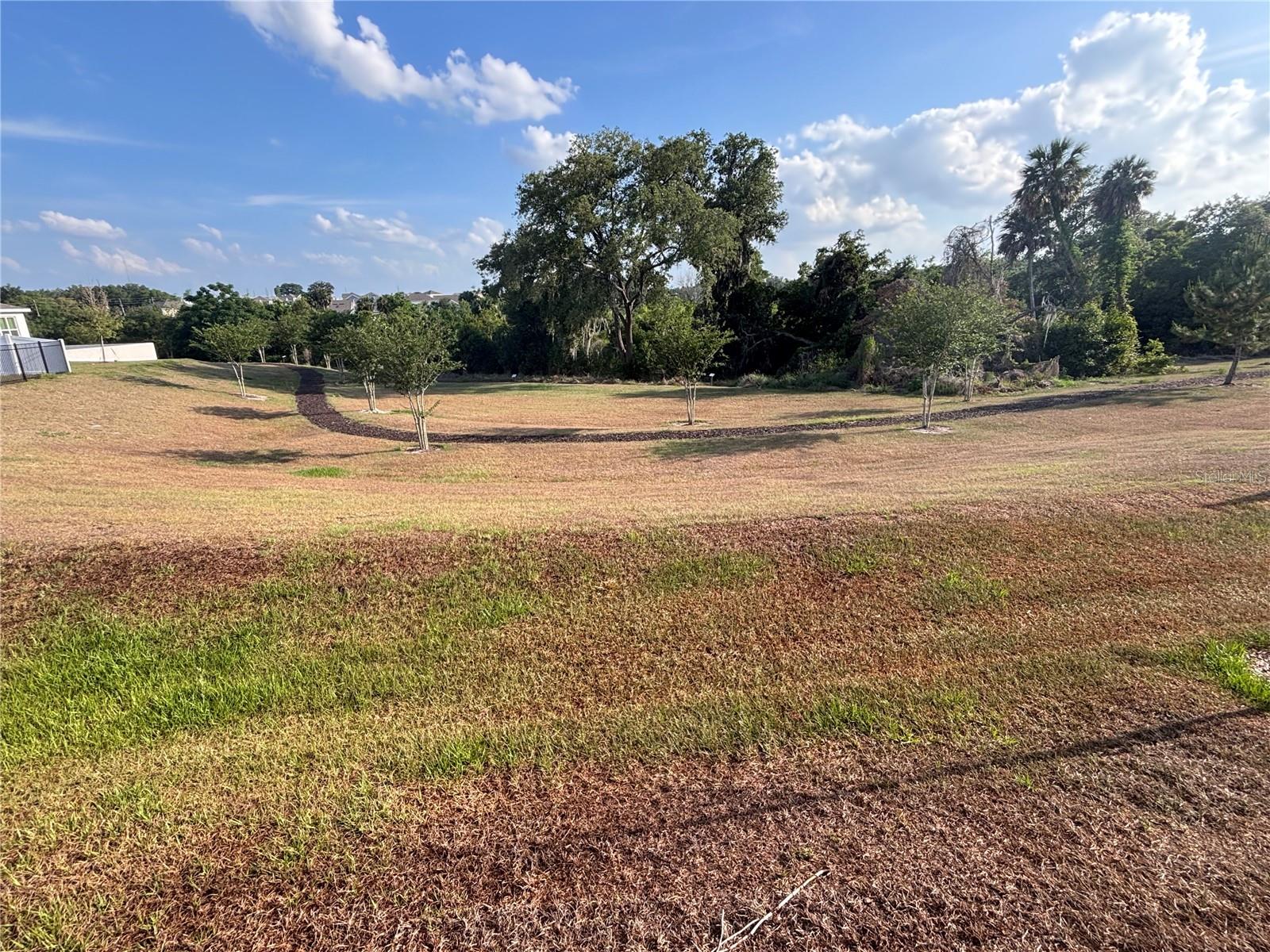 873 GREEN ENGLISH ST, APOPKA, FL — photo 15