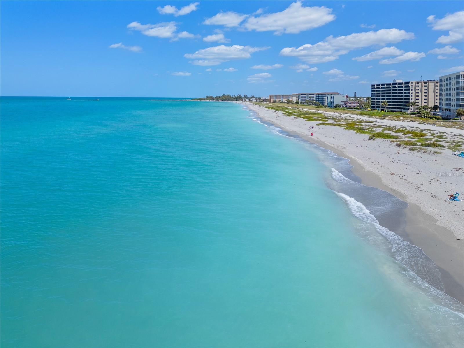 555 THE ESPLANADE N #1003, VENICE, FL — photo 42