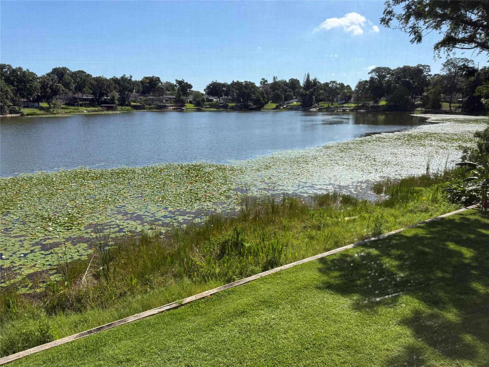 410 E ORLANDO AVE #19A, OCOEE, FL — photo 9