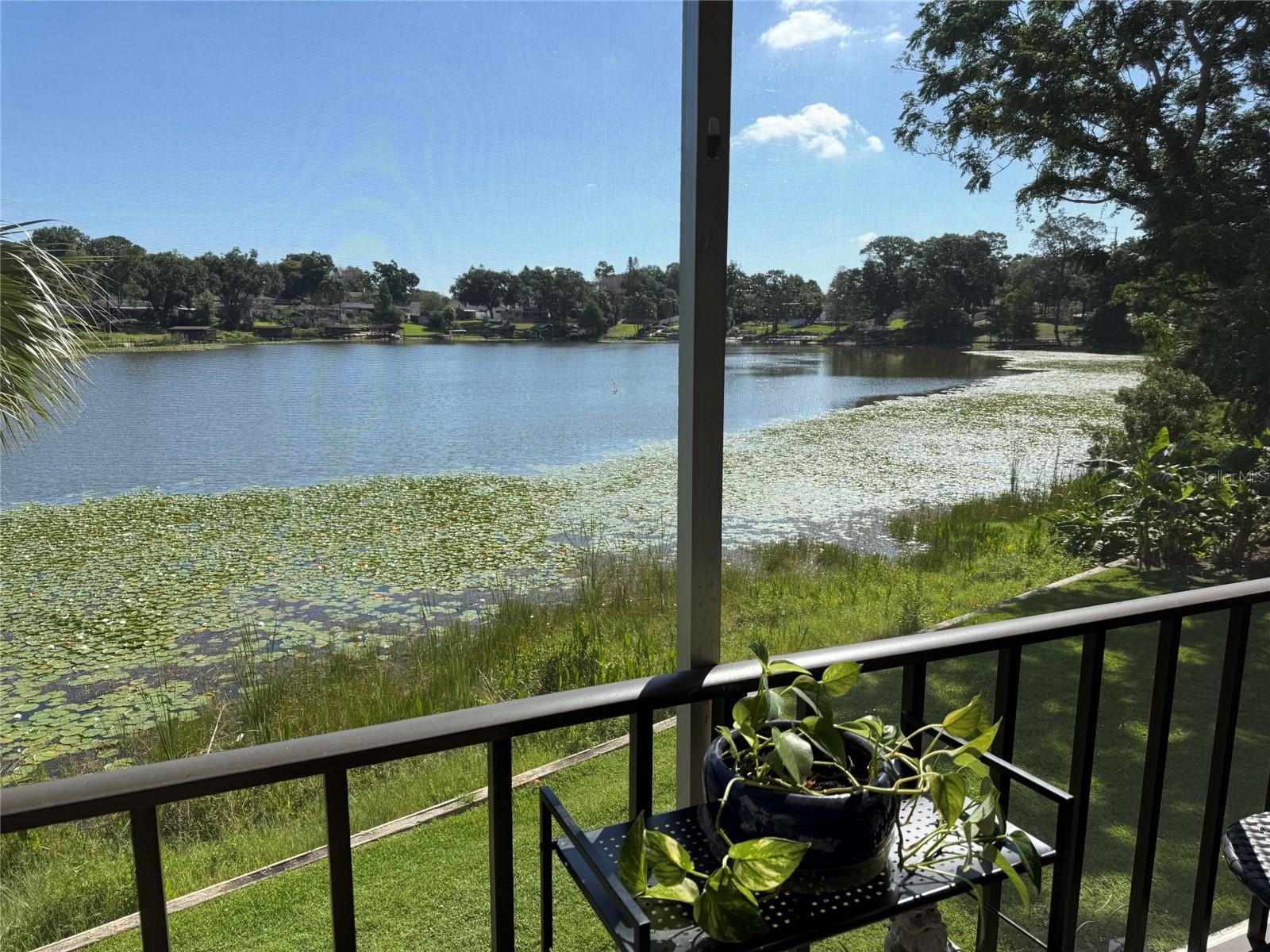 410 E ORLANDO AVE #19A, OCOEE, FL — photo 29
