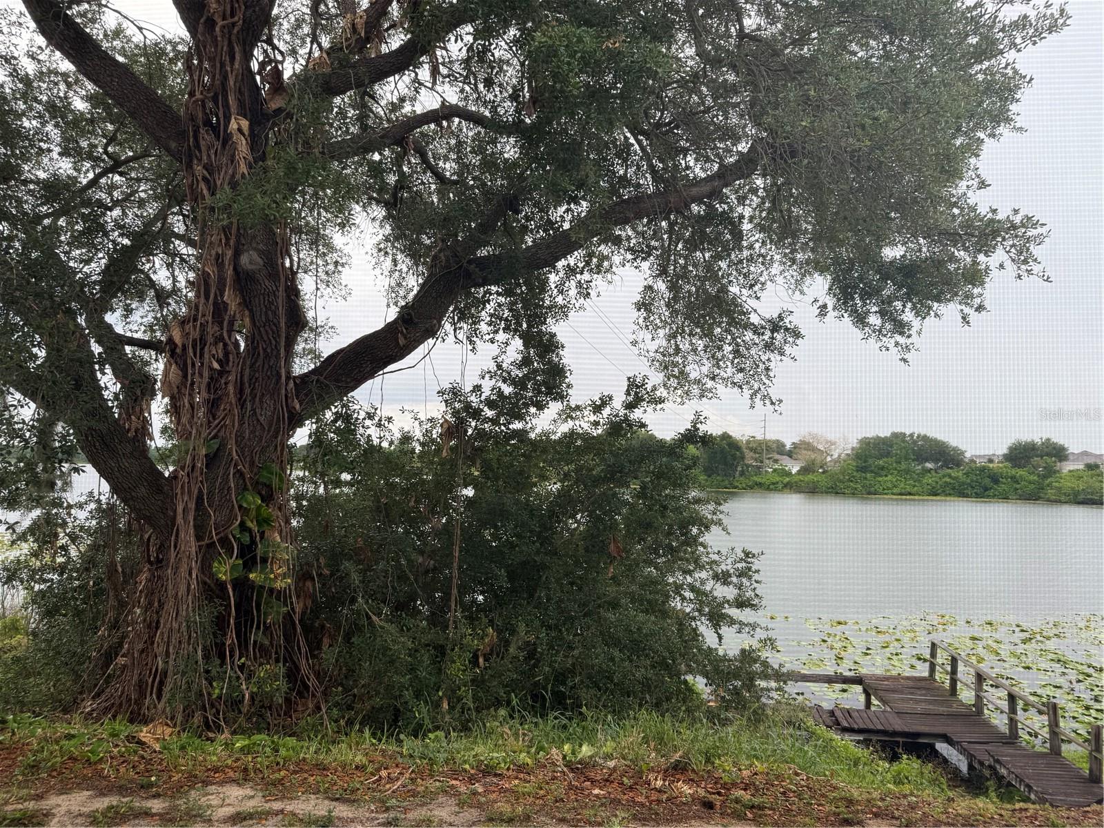 702 COUNTRY LN NE #702, WINTER HAVEN, FL — photo 22