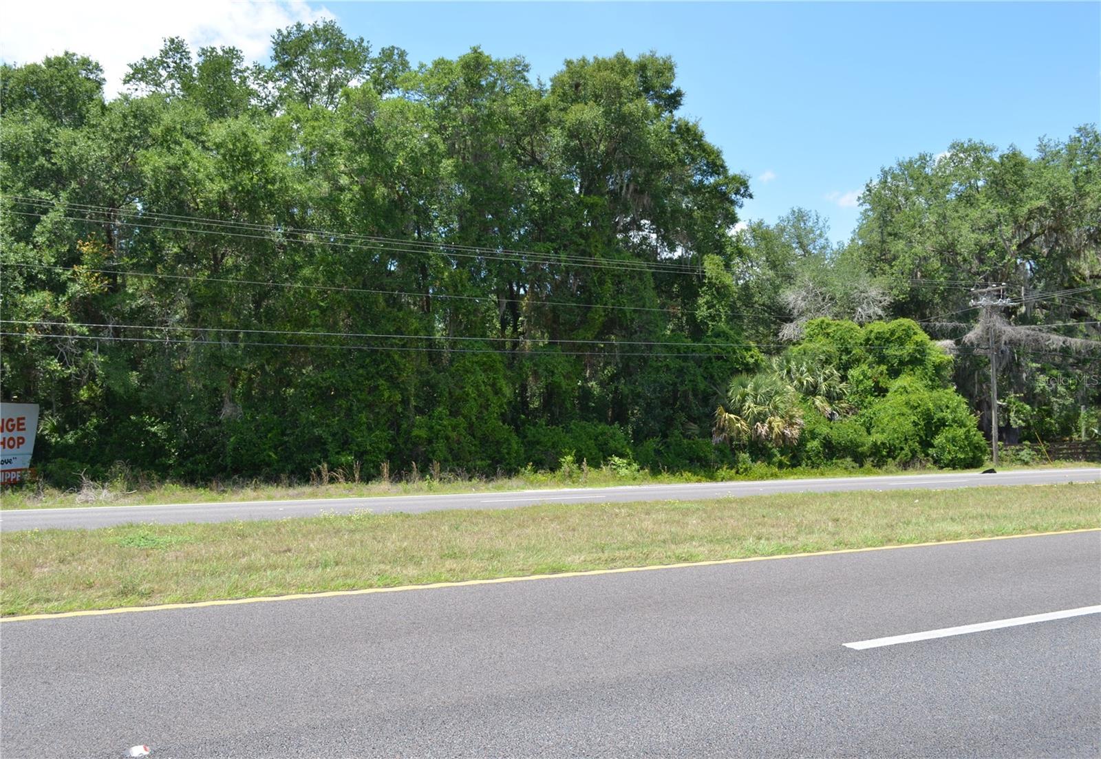 TBD N US HWY 301, CITRA, FL
