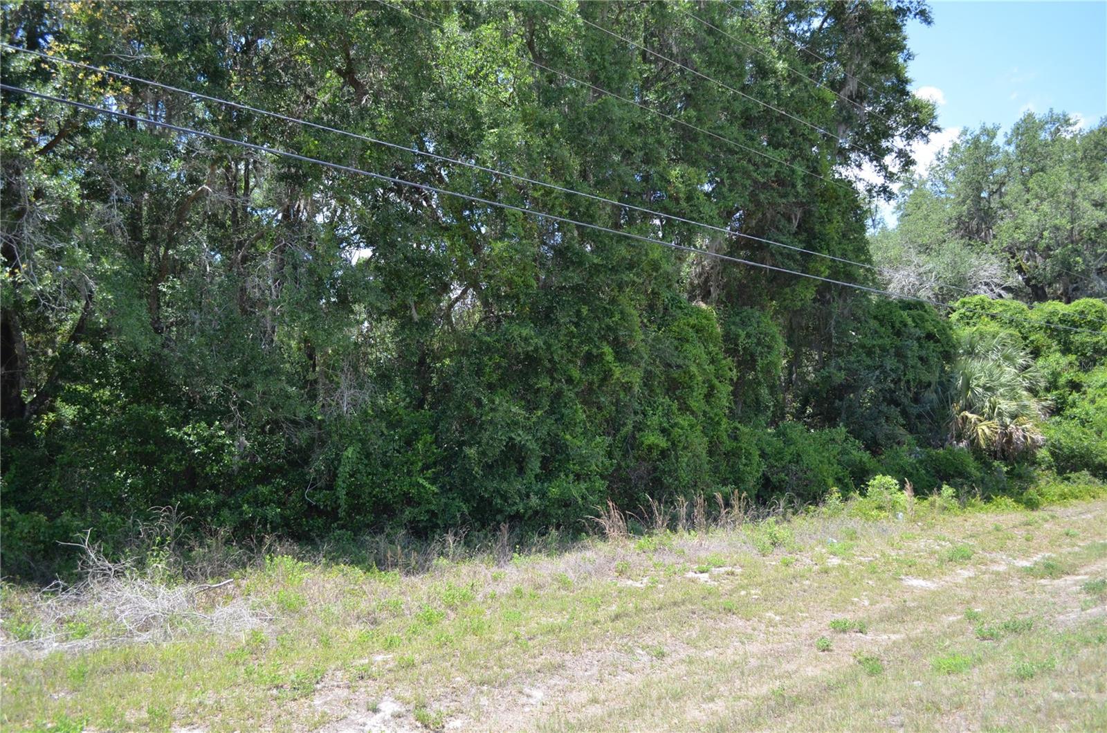 TBD N US HWY 301, CITRA, FL — photo 2
