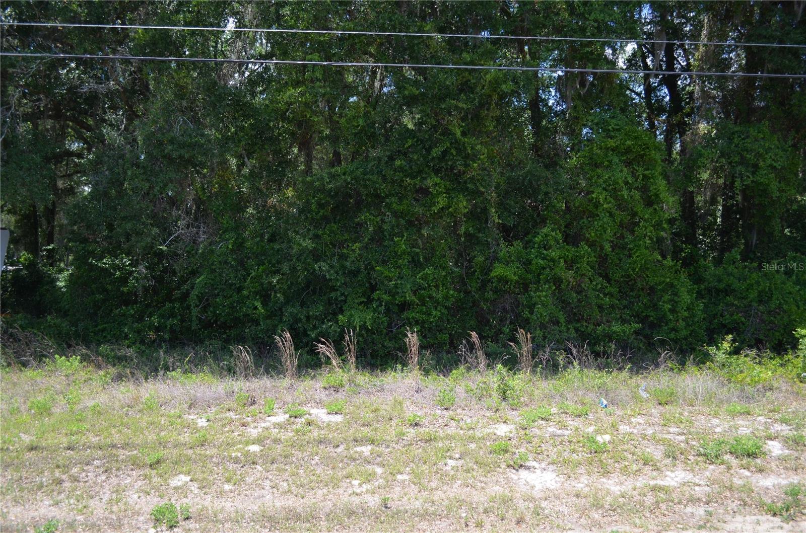 TBD N US HWY 301, CITRA, FL — photo 3