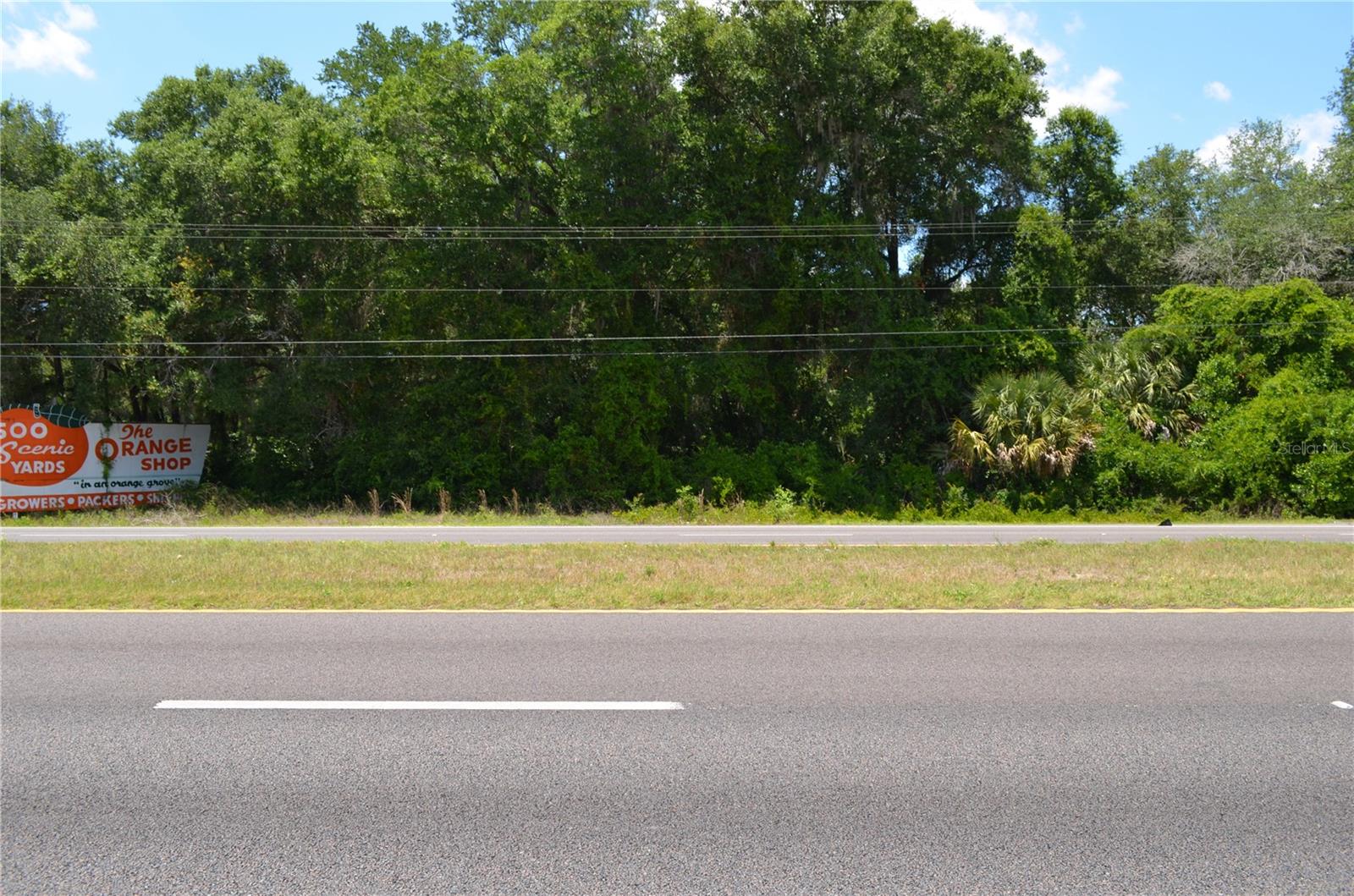 TBD N US HWY 301, CITRA, FL — photo 6