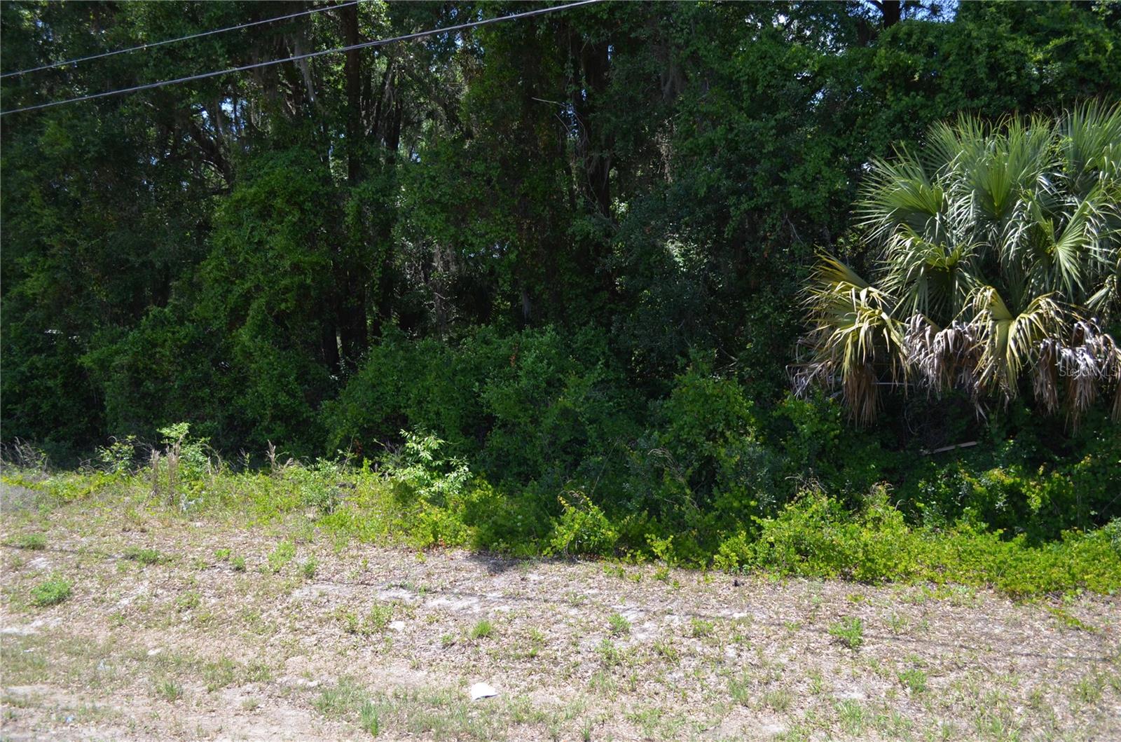 TBD N US HWY 301, CITRA, FL — photo 10