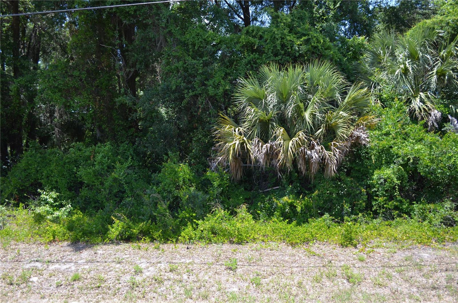 TBD N US HWY 301, CITRA, FL — photo 11