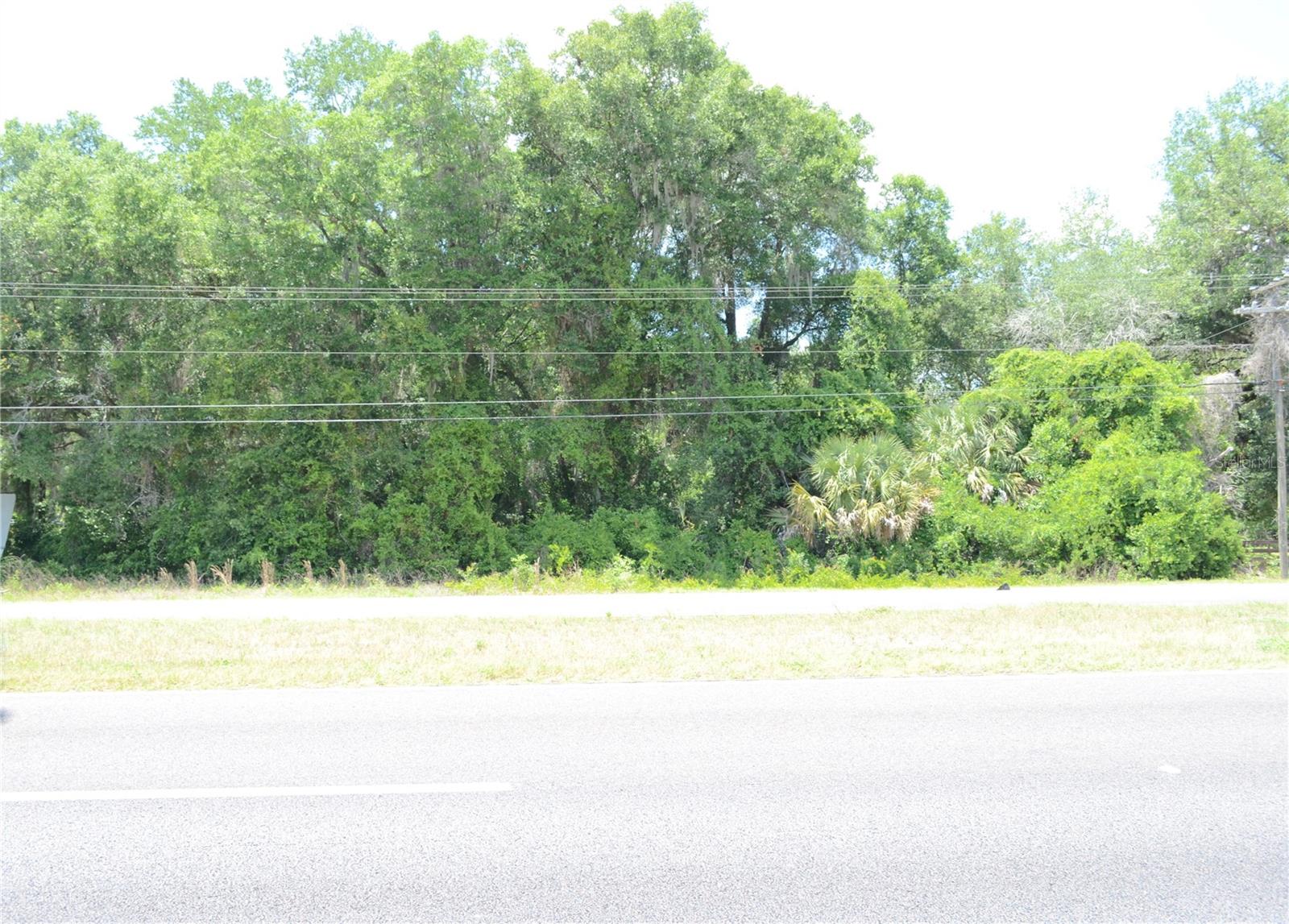 TBD N US HWY 301, CITRA, FL — photo 12