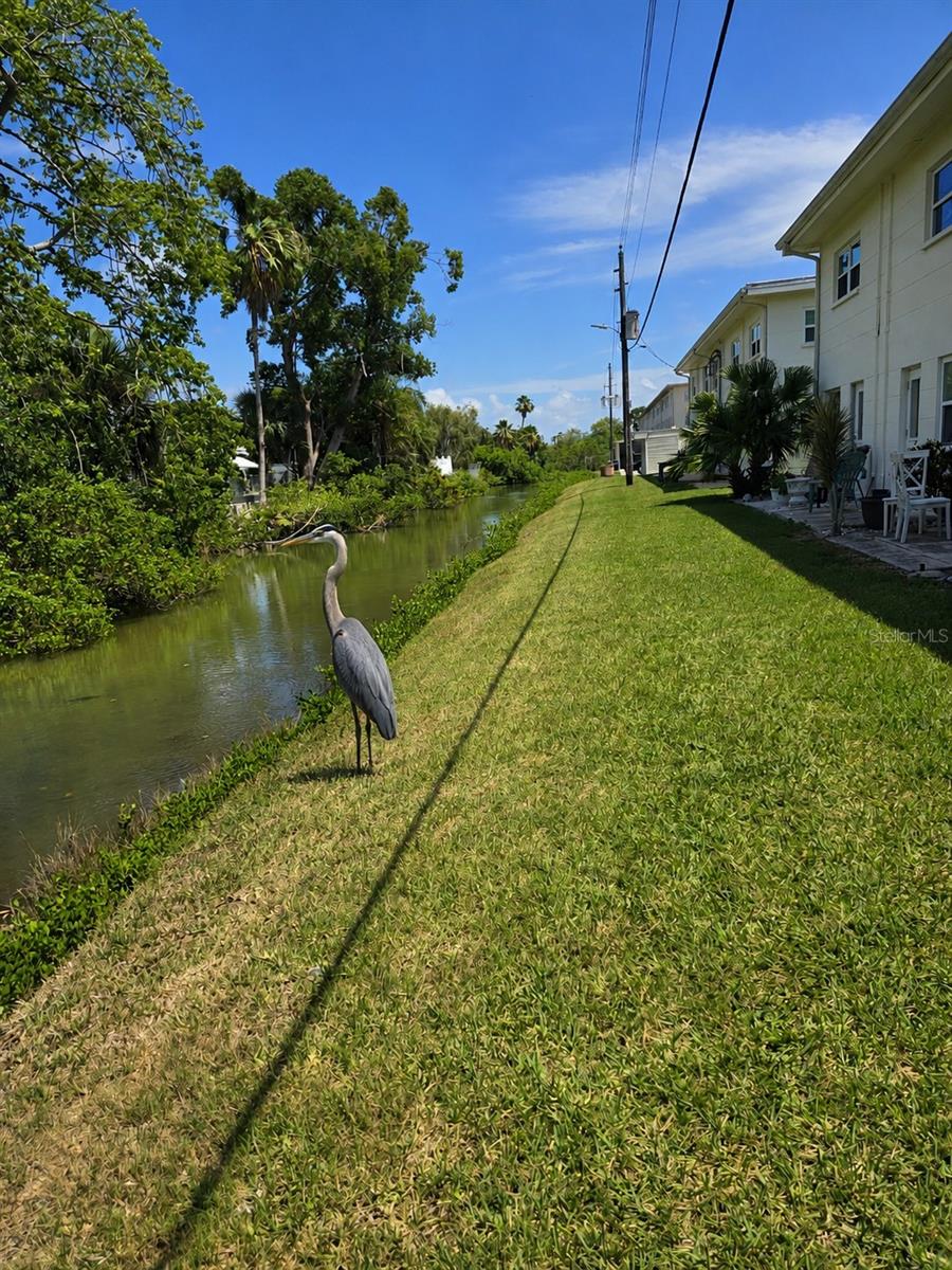 4565 DUHME RD #102, ST PETERSBURG, FL — photo 23