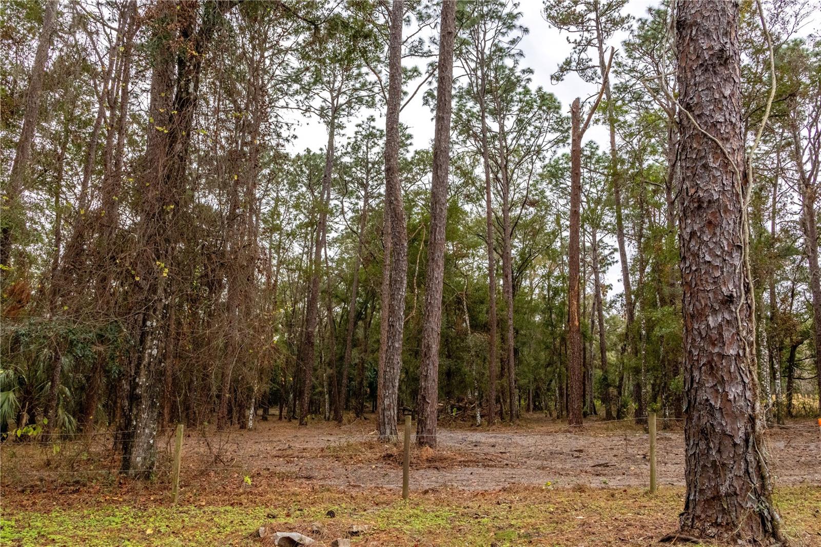 24091 RICHBARN RD, BROOKSVILLE, FL — photo 13