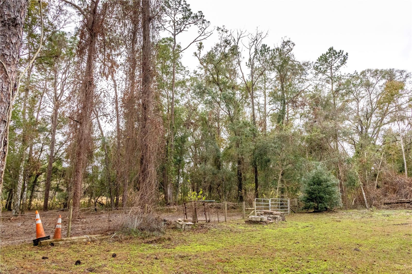 24091 RICHBARN RD, BROOKSVILLE, FL — photo 14