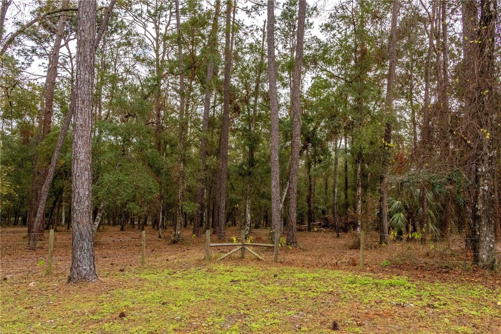 24091 RICHBARN RD, BROOKSVILLE, FL — photo 15