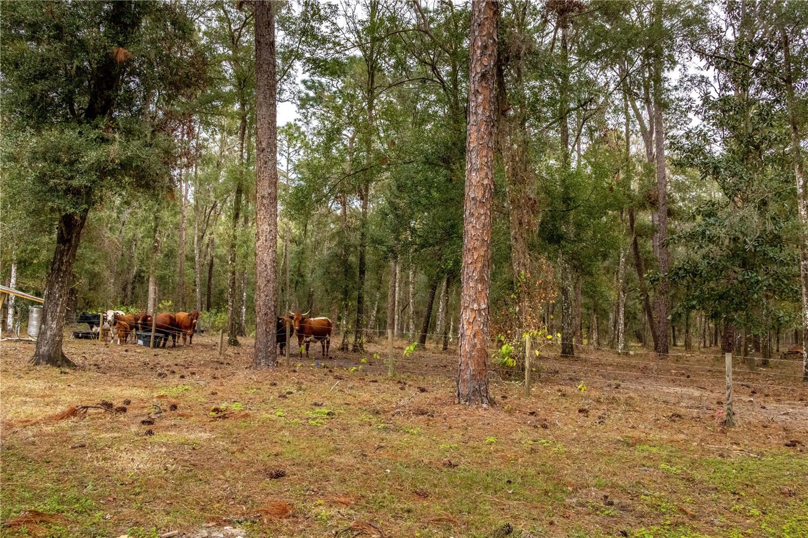 24091 RICHBARN RD, BROOKSVILLE, FL — photo 16