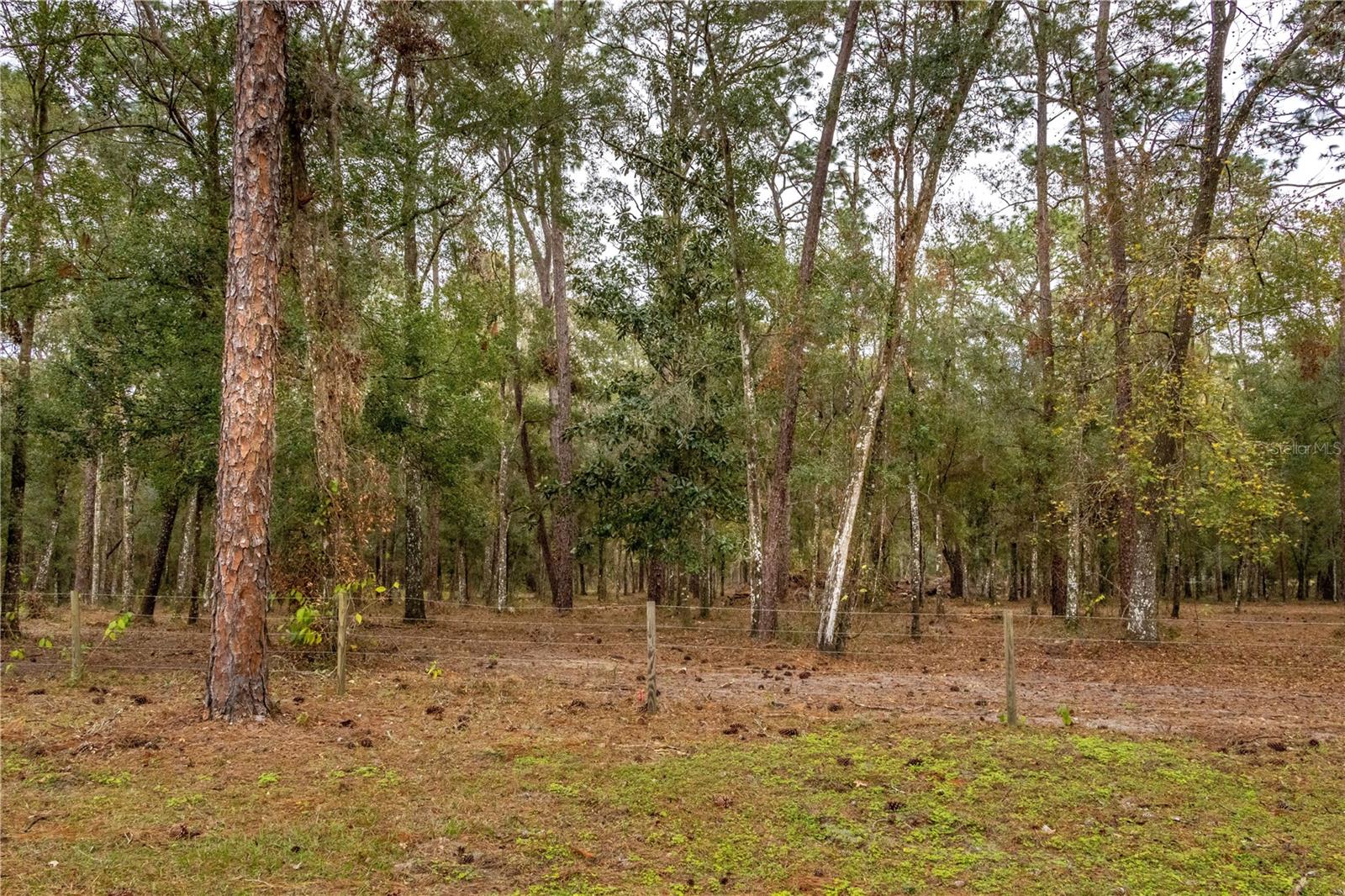 24091 RICHBARN RD, BROOKSVILLE, FL — photo 17
