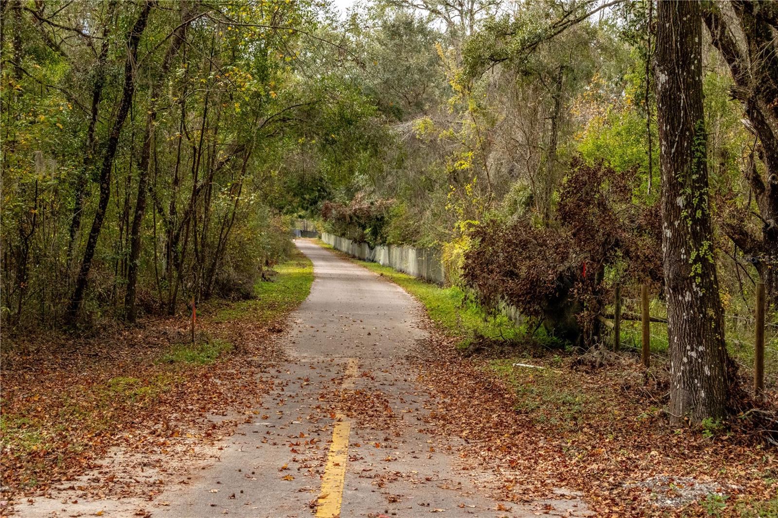 24091 RICHBARN RD, BROOKSVILLE, FL — photo 26