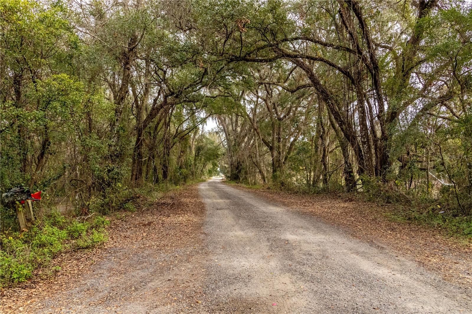 24091 RICHBARN RD, BROOKSVILLE, FL — photo 28