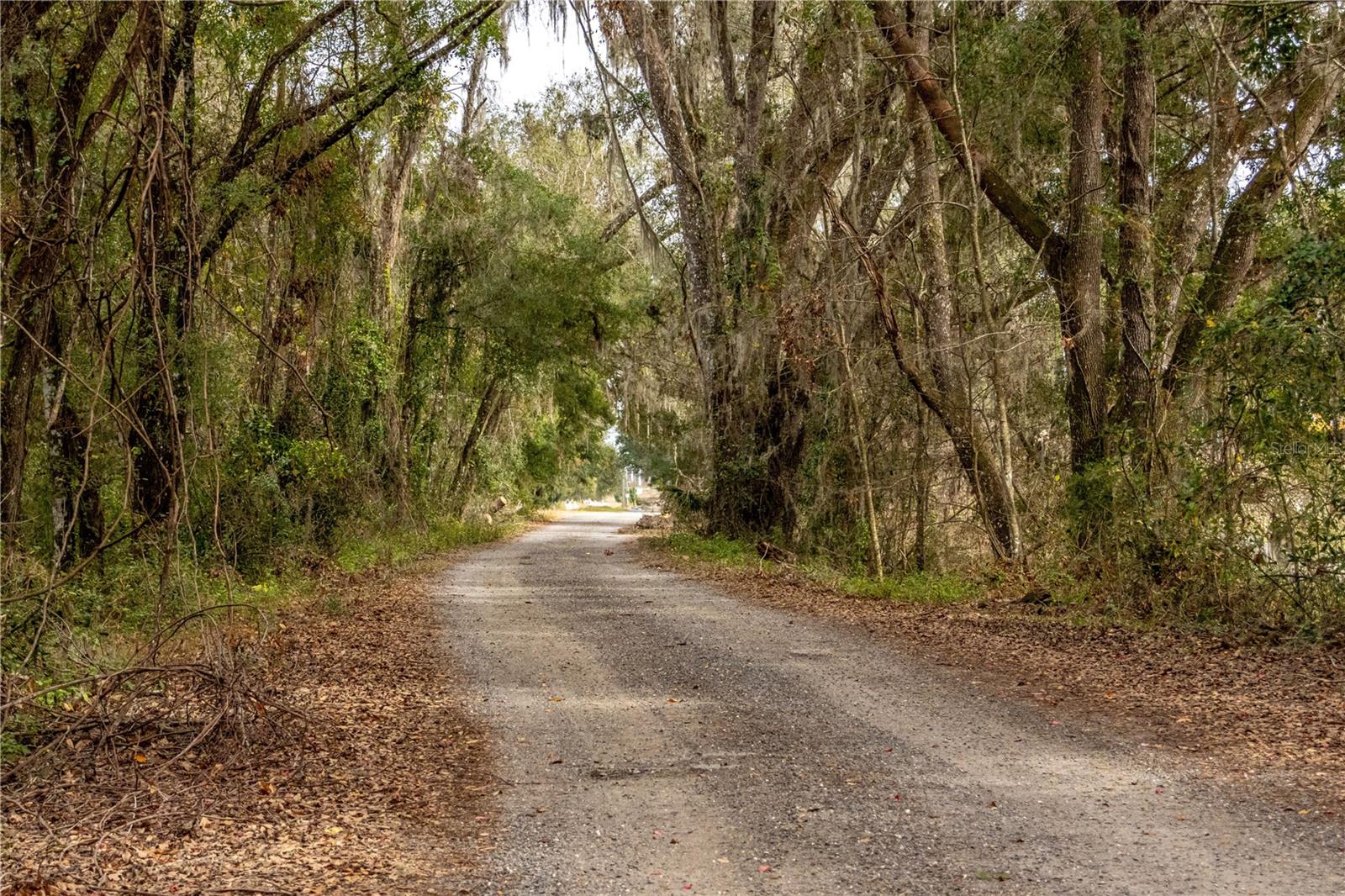 24091 RICHBARN RD, BROOKSVILLE, FL — photo 29