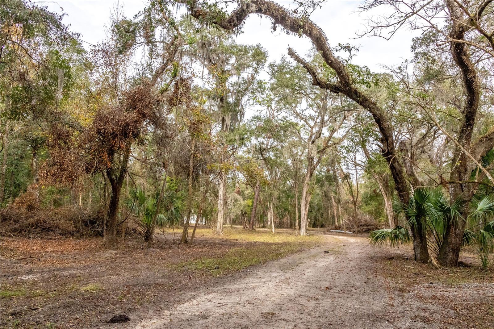 24091 RICHBARN RD, BROOKSVILLE, FL — photo 33