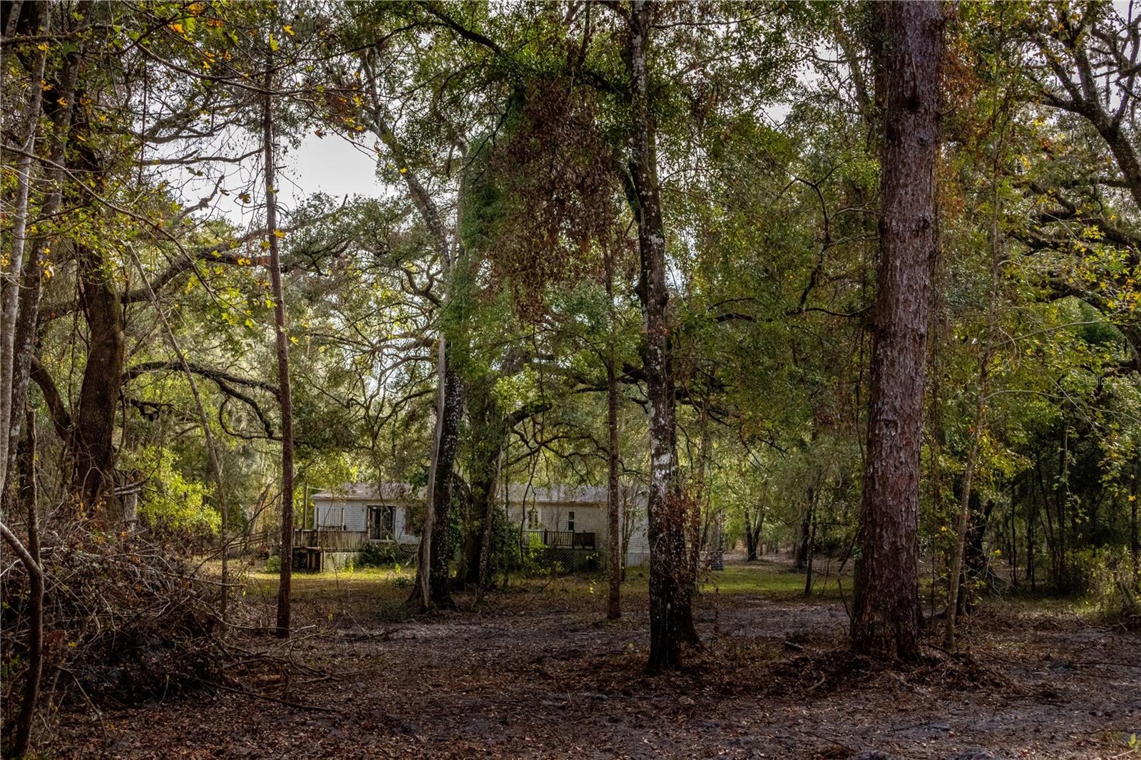 24091 RICHBARN RD, BROOKSVILLE, FL — photo 35