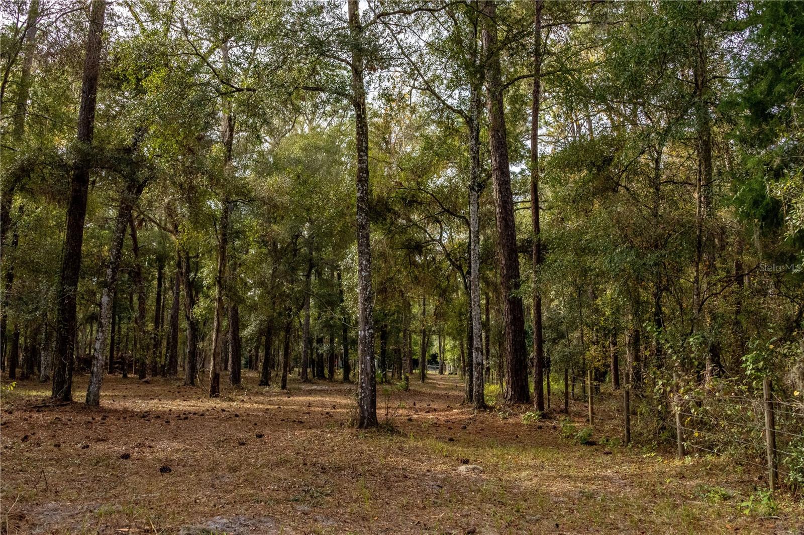 24091 RICHBARN RD, BROOKSVILLE, FL — photo 36