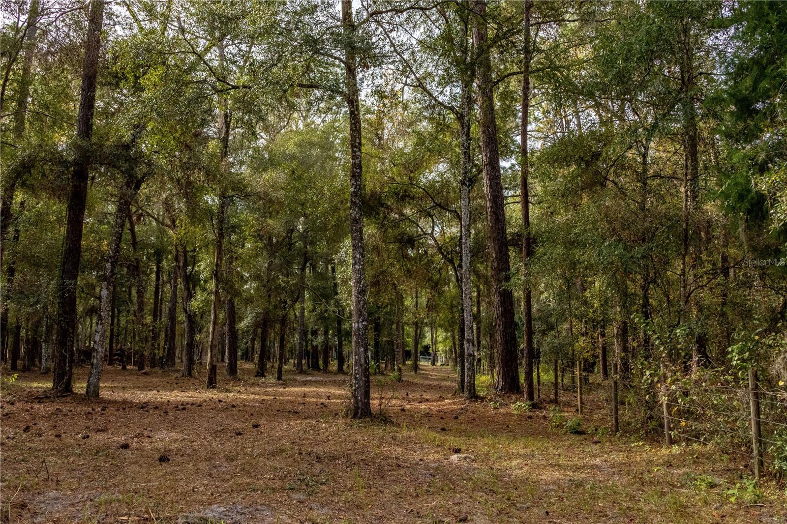 24091 RICHBARN RD, BROOKSVILLE, FL — photo 37