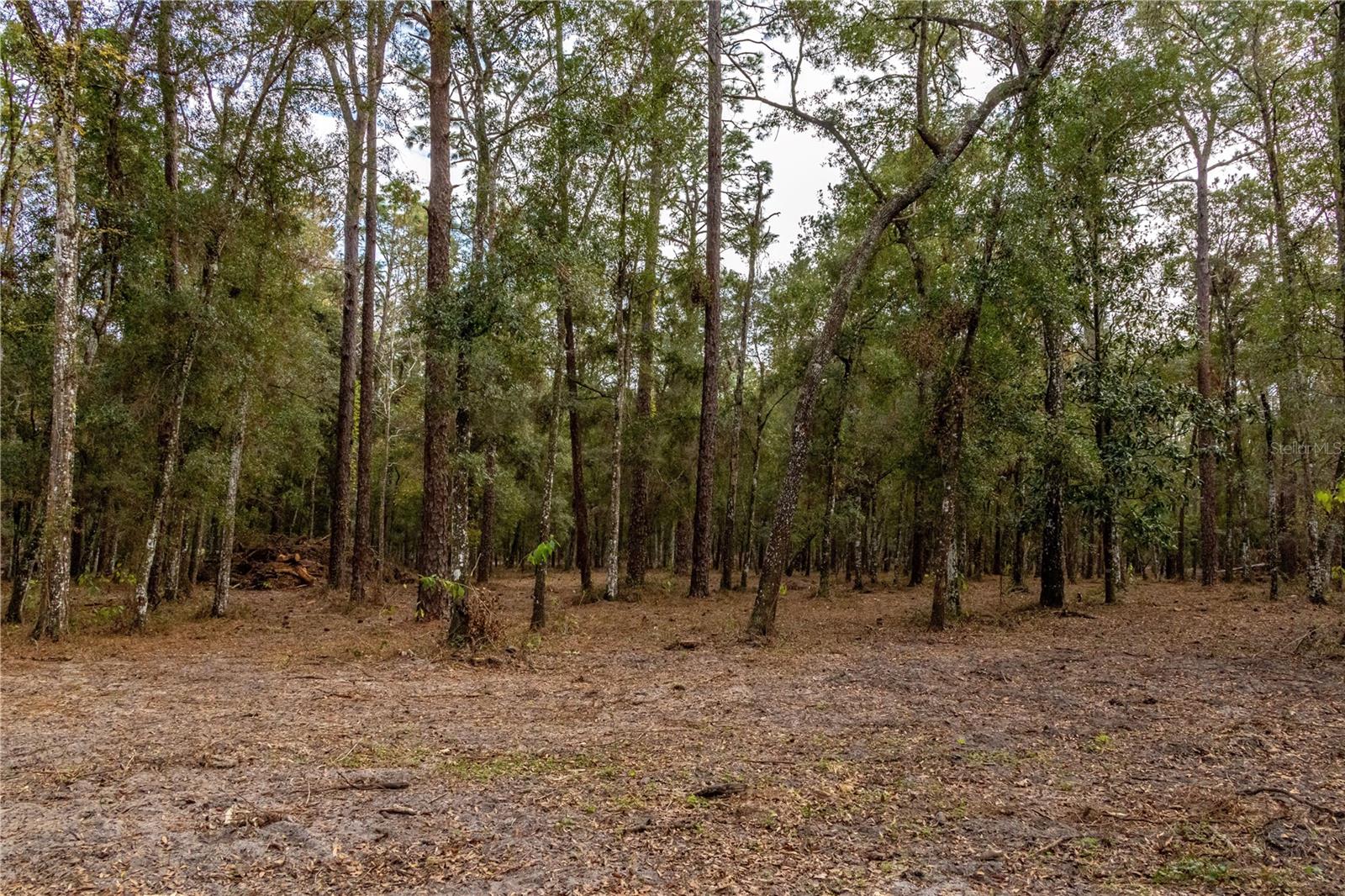 24091 RICHBARN RD, BROOKSVILLE, FL — photo 39