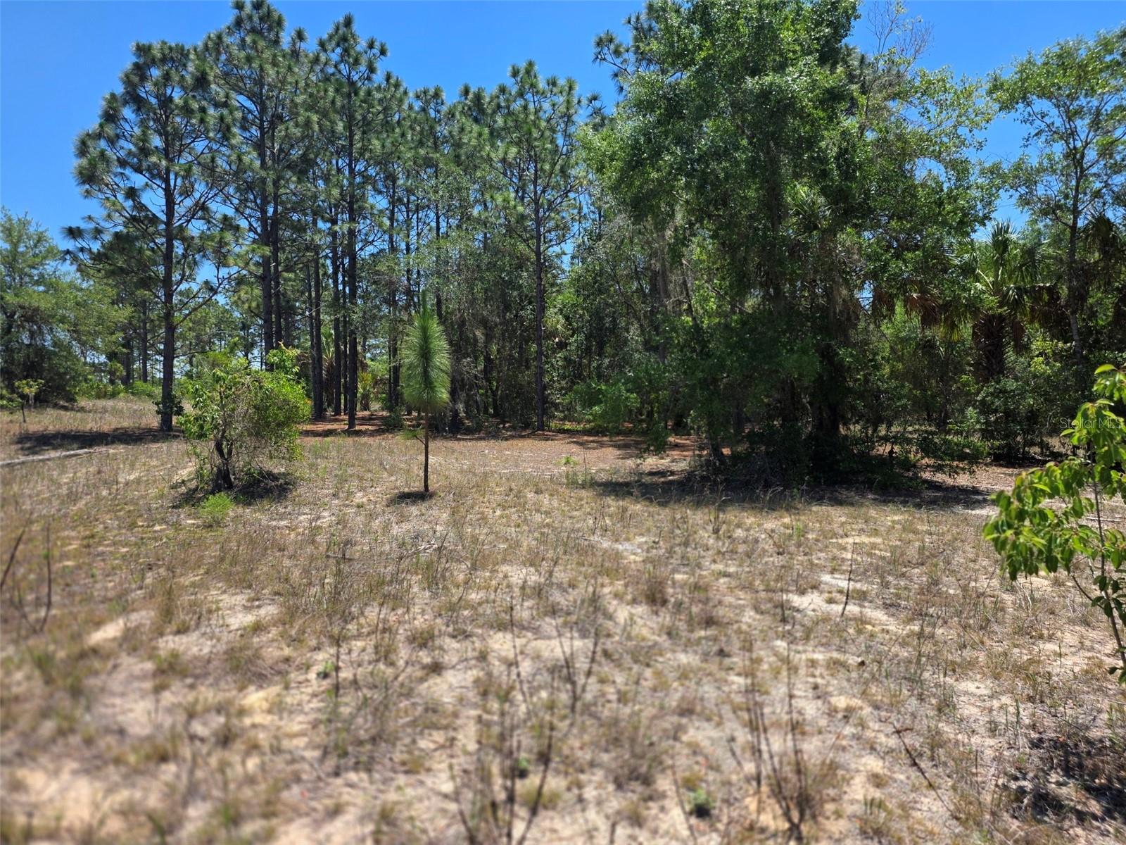 11837 N CAPTIVA TER, DUNNELLON, FL