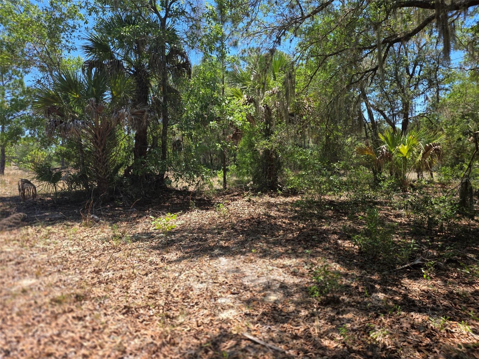11837 N CAPTIVA TER, DUNNELLON, FL — photo 2