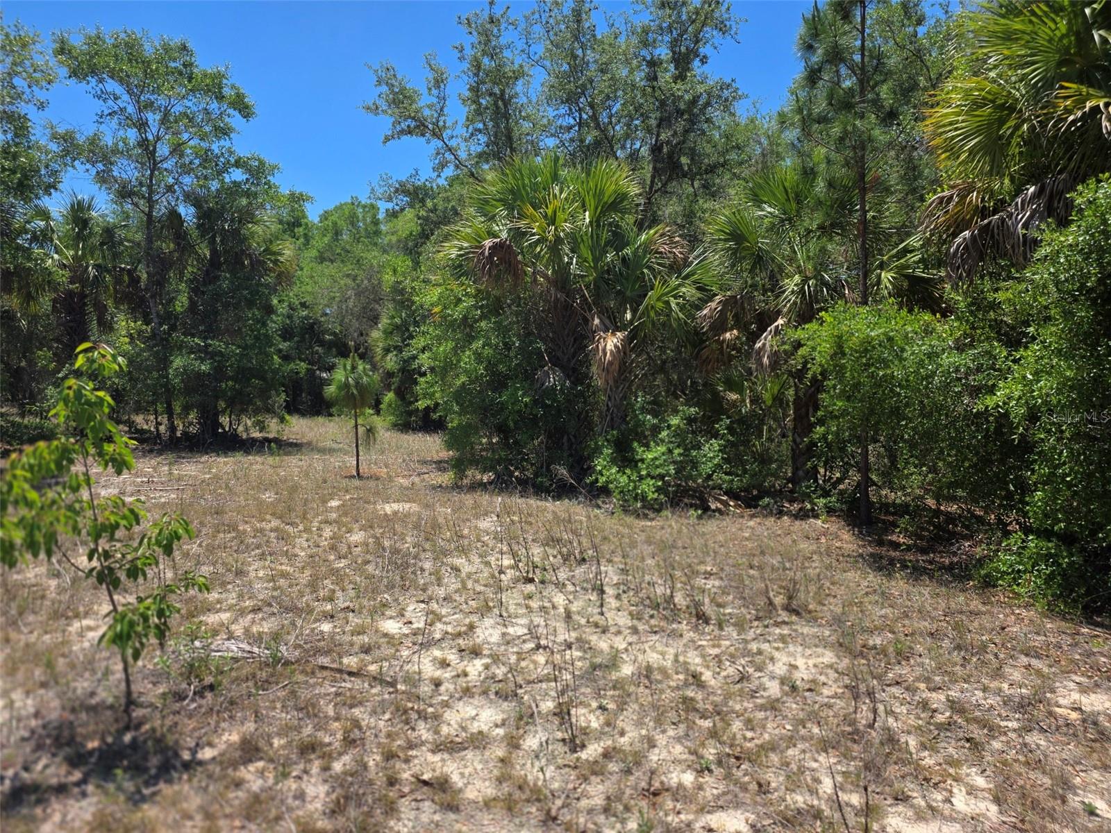 11837 N CAPTIVA TER, DUNNELLON, FL — photo 3