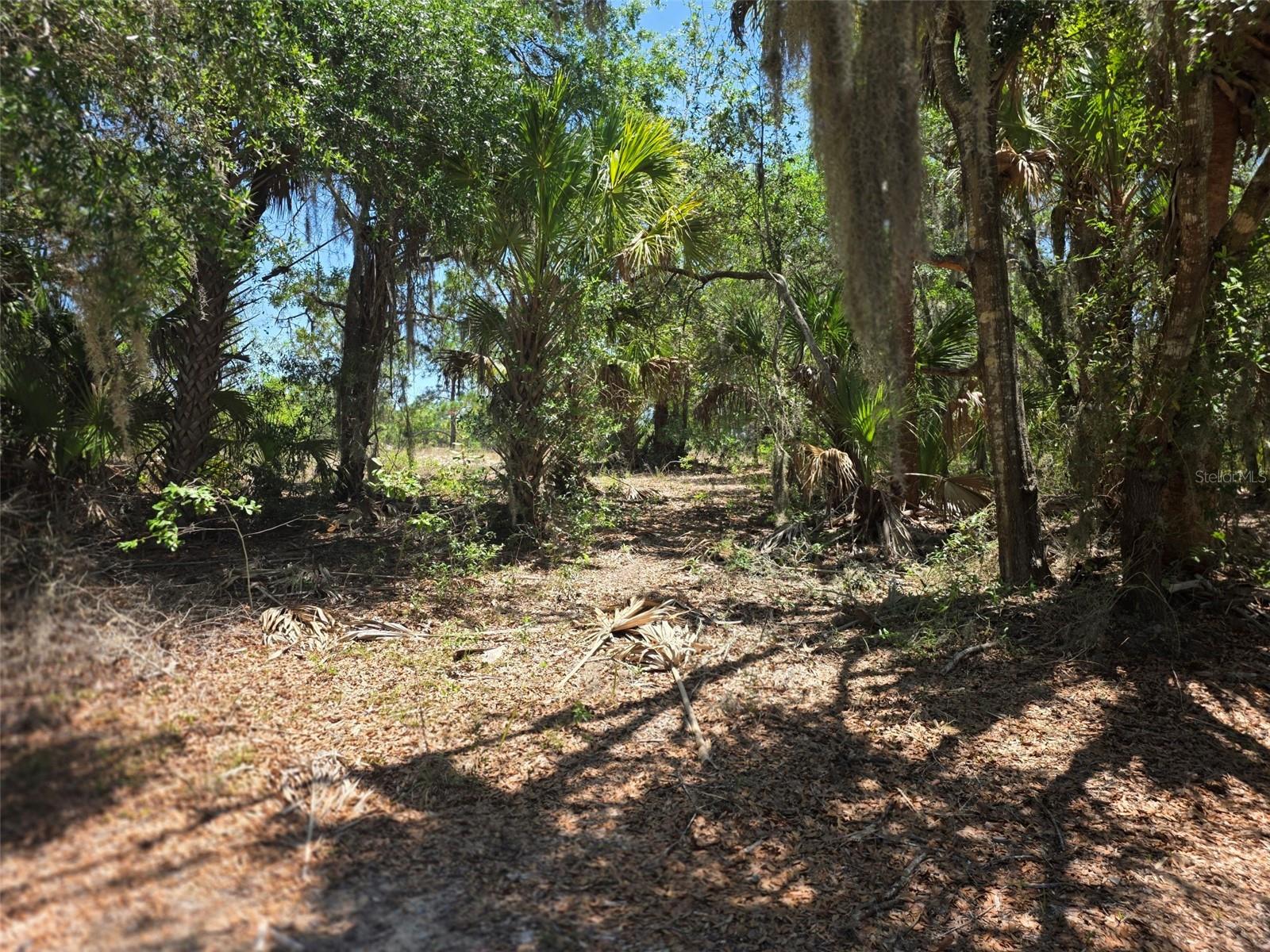 11837 N CAPTIVA TER, DUNNELLON, FL — photo 4