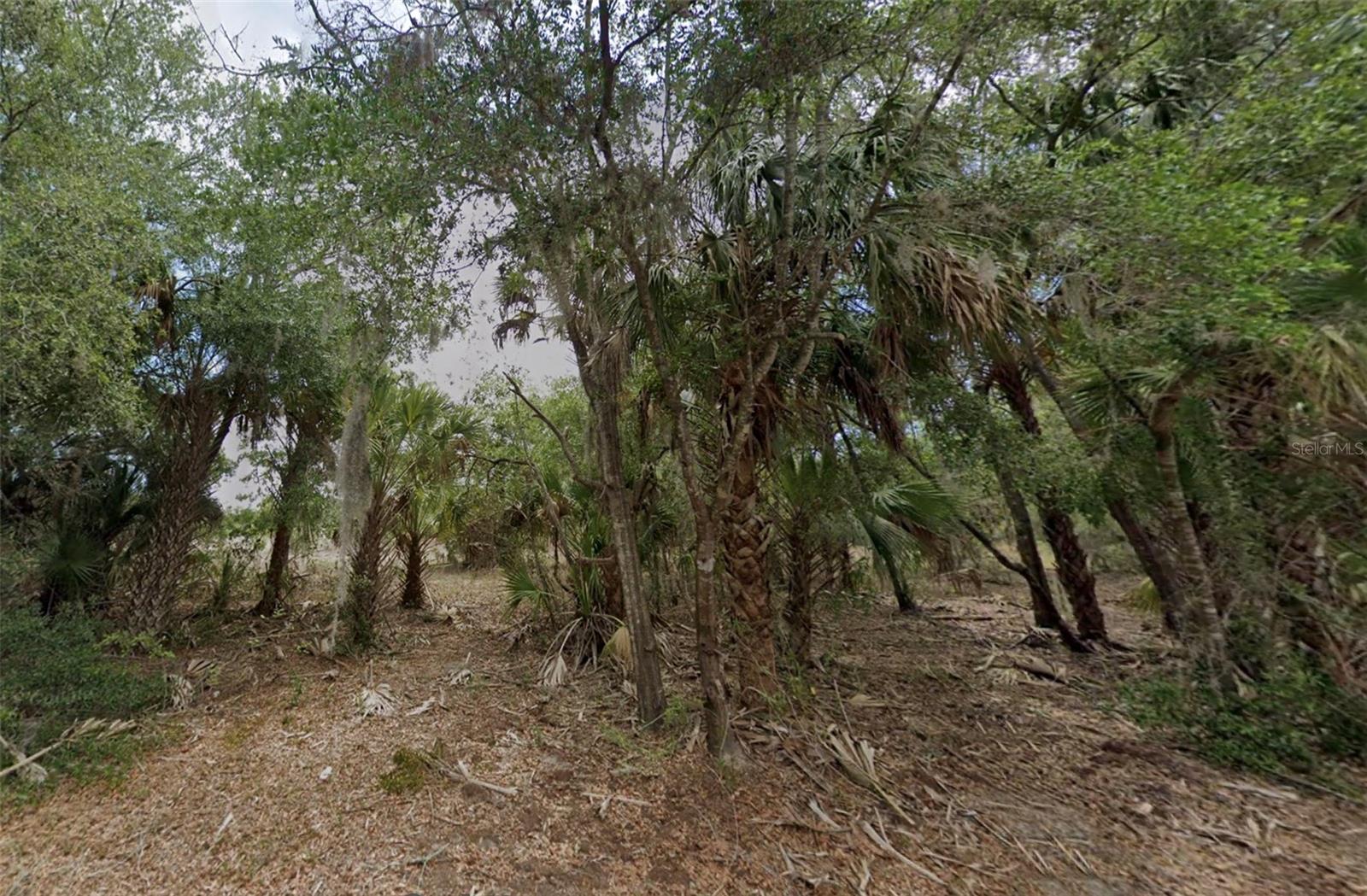 11837 N CAPTIVA TER, DUNNELLON, FL — photo 5