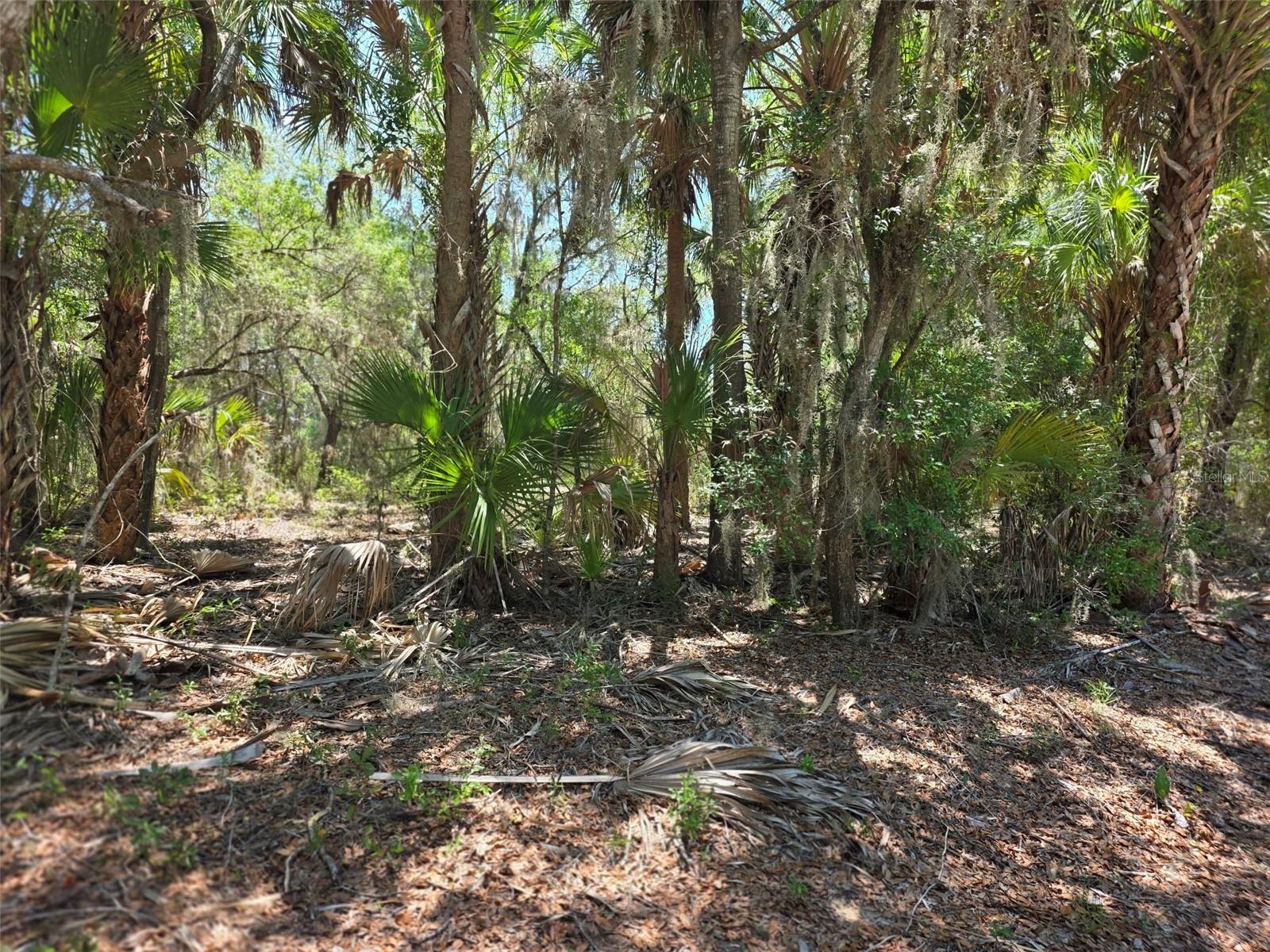11837 N CAPTIVA TER, DUNNELLON, FL — photo 6