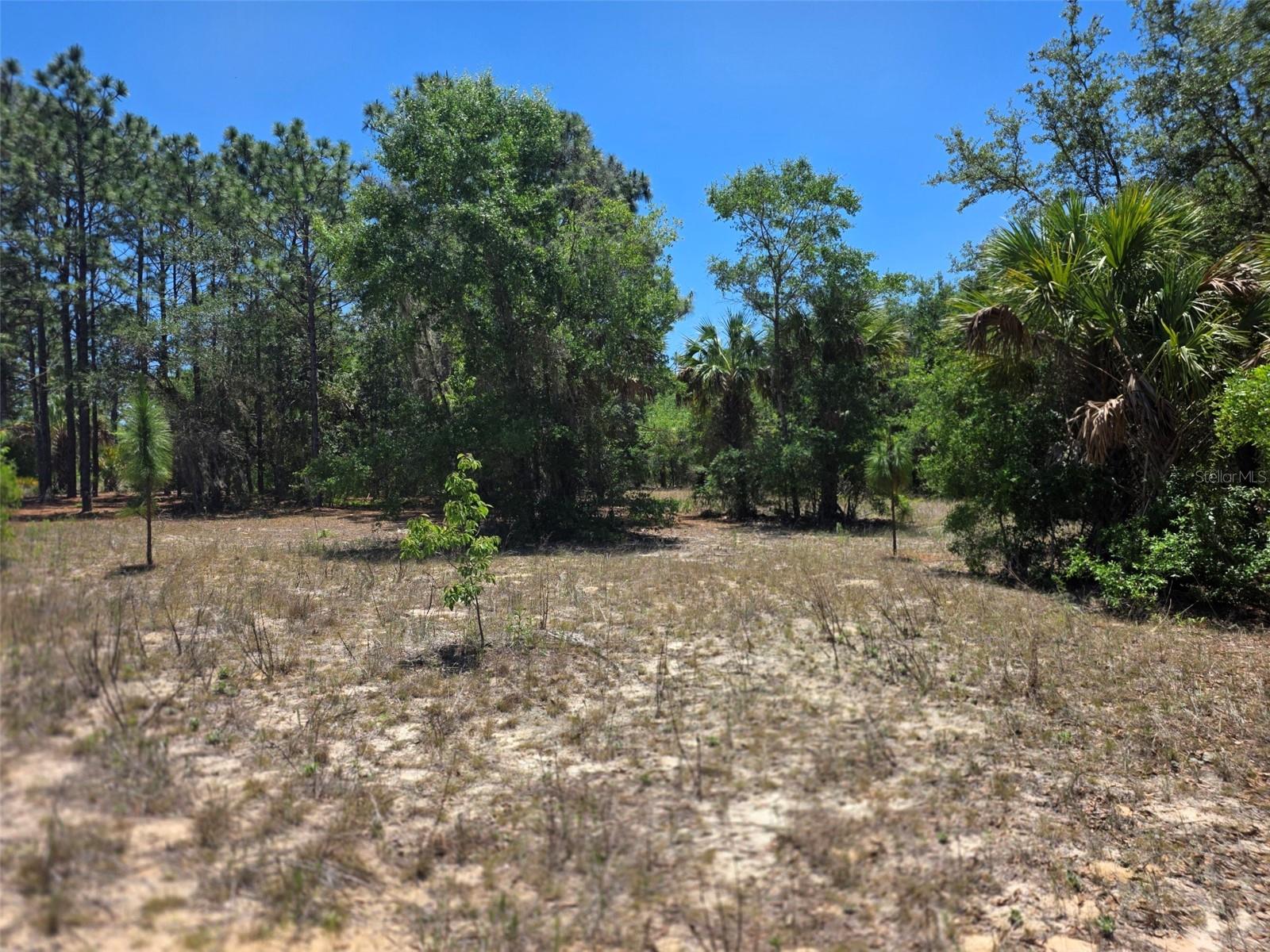 11837 N CAPTIVA TER, DUNNELLON, FL — photo 7