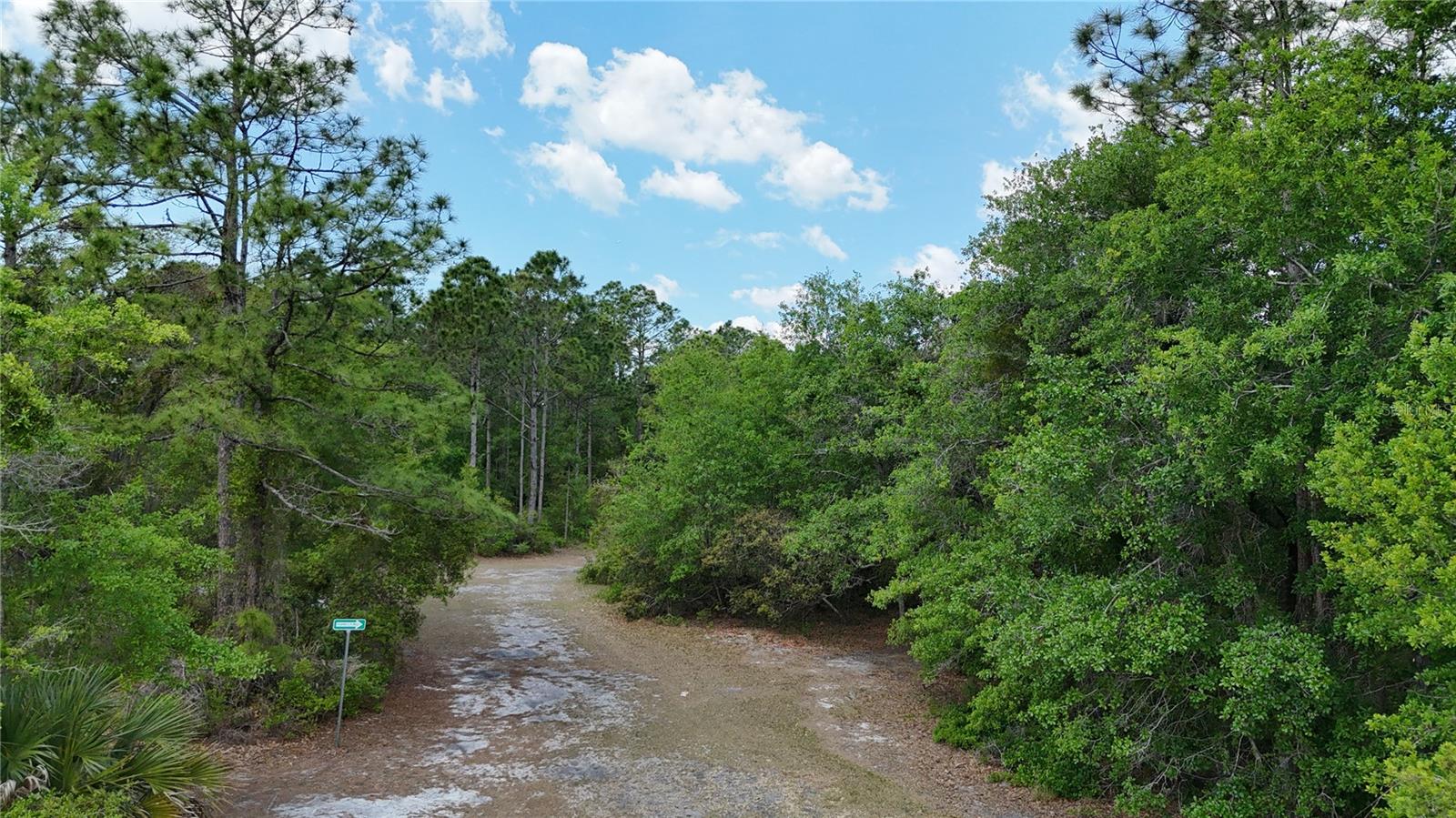 1311 PINE ISLAND DR N, ST CLOUD, FL — photo 19