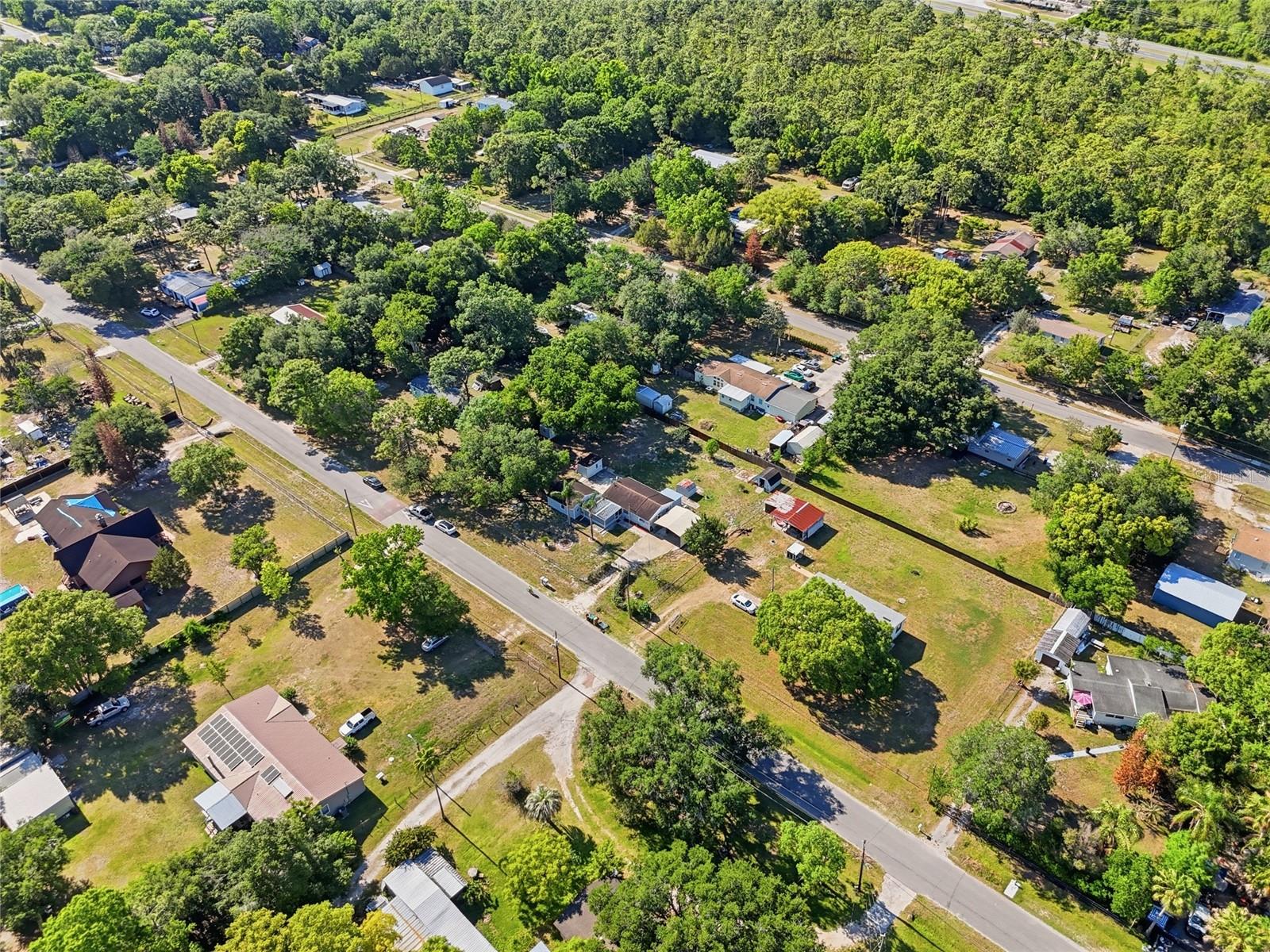 17753 EVANS TRL, ORLANDO, FL — photo 6
