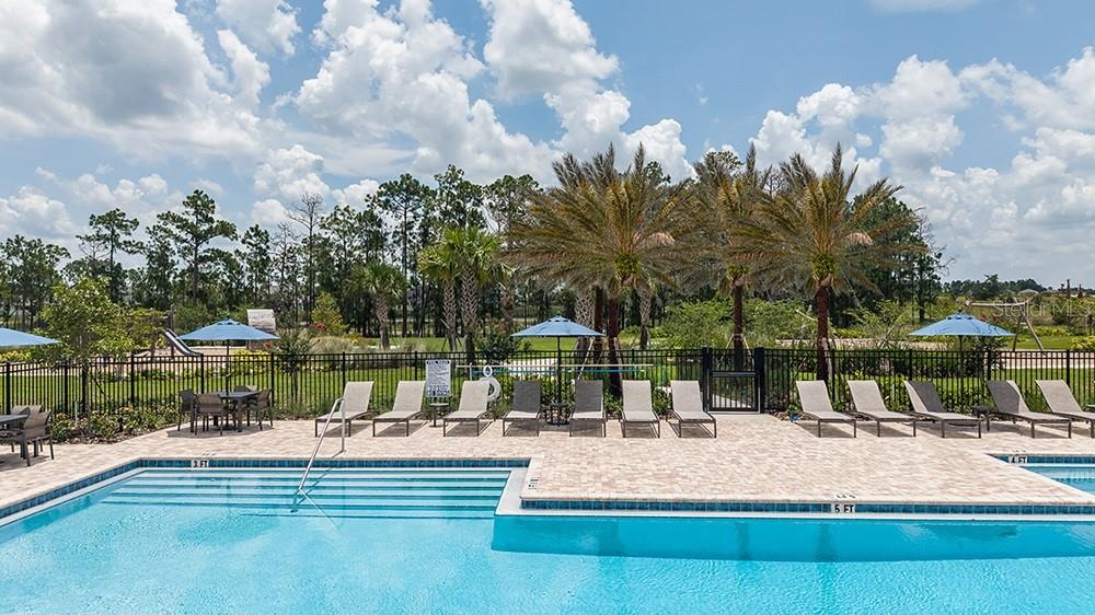 14784 FIELD DAISY DR, WINTER GARDEN, FL — photo 36